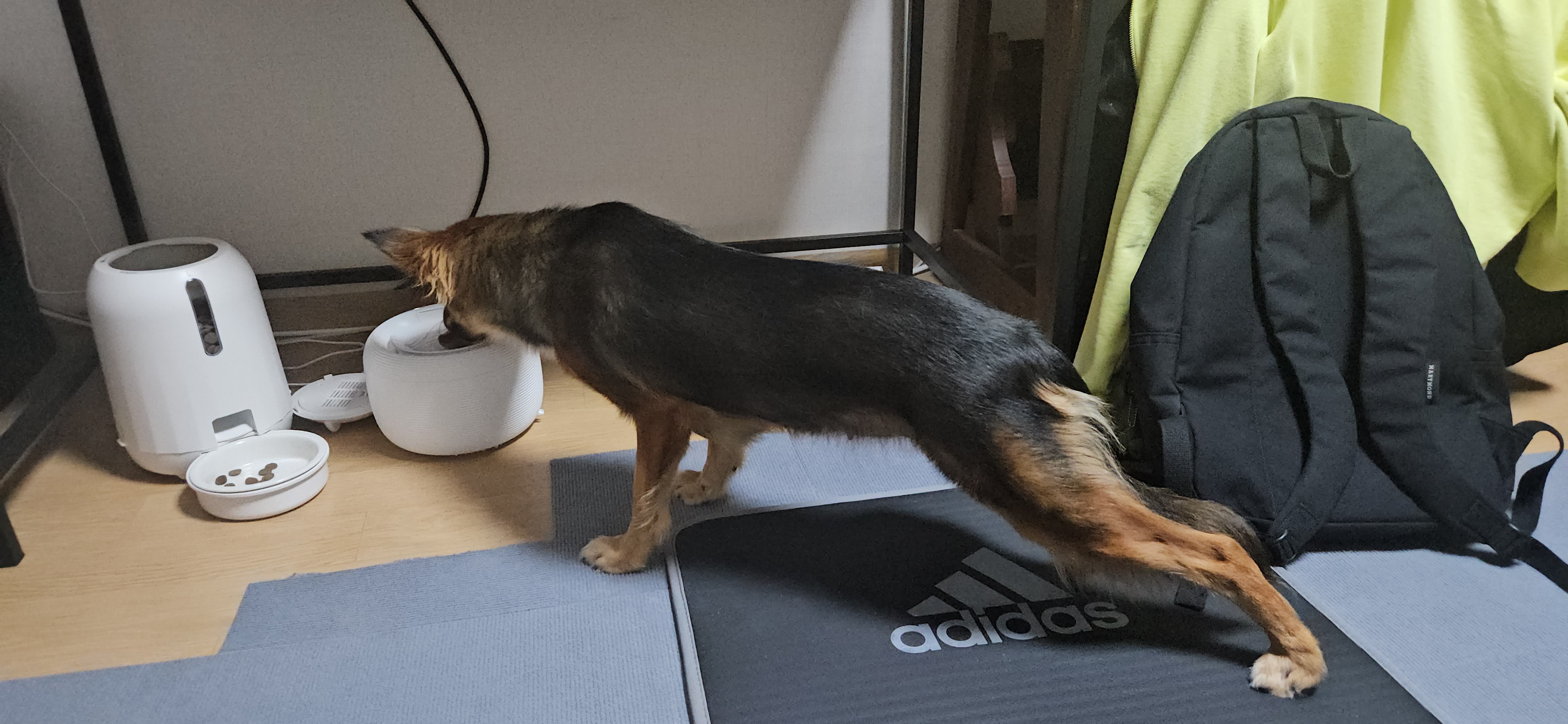 마리아는 잘지내요 저말고 마리아요