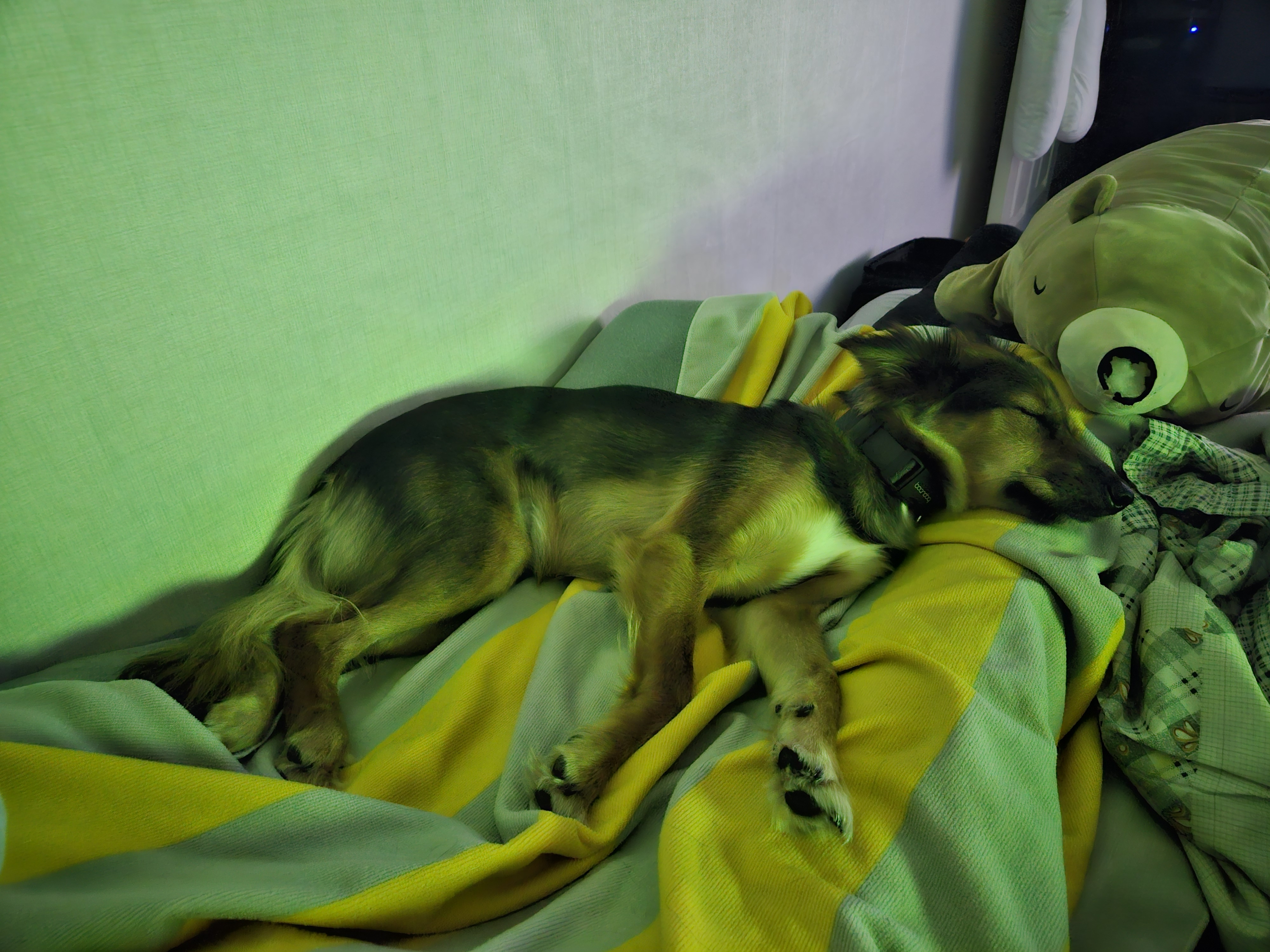 마리아는 잘지내요 저말고 마리아요