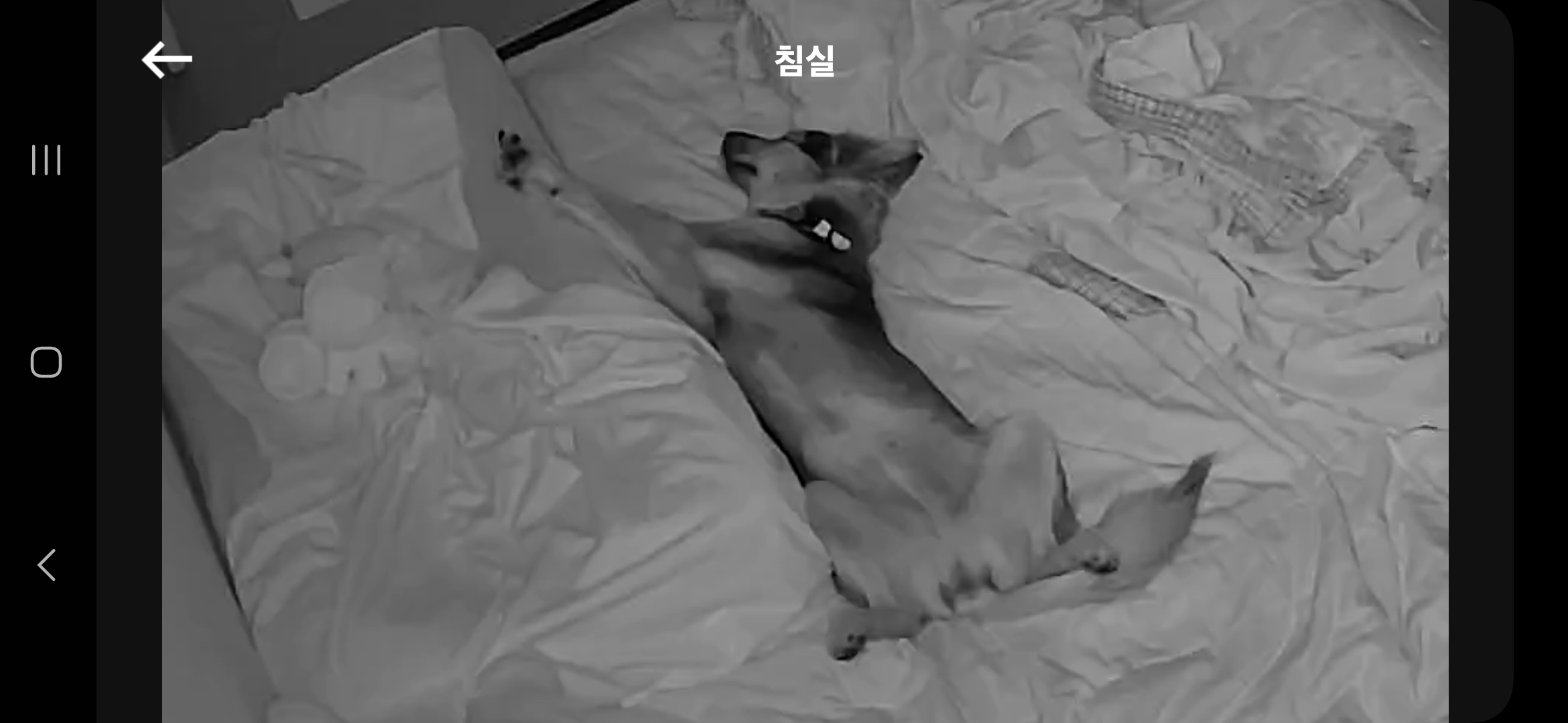 마리아는 잘지내요 저말고 마리아요