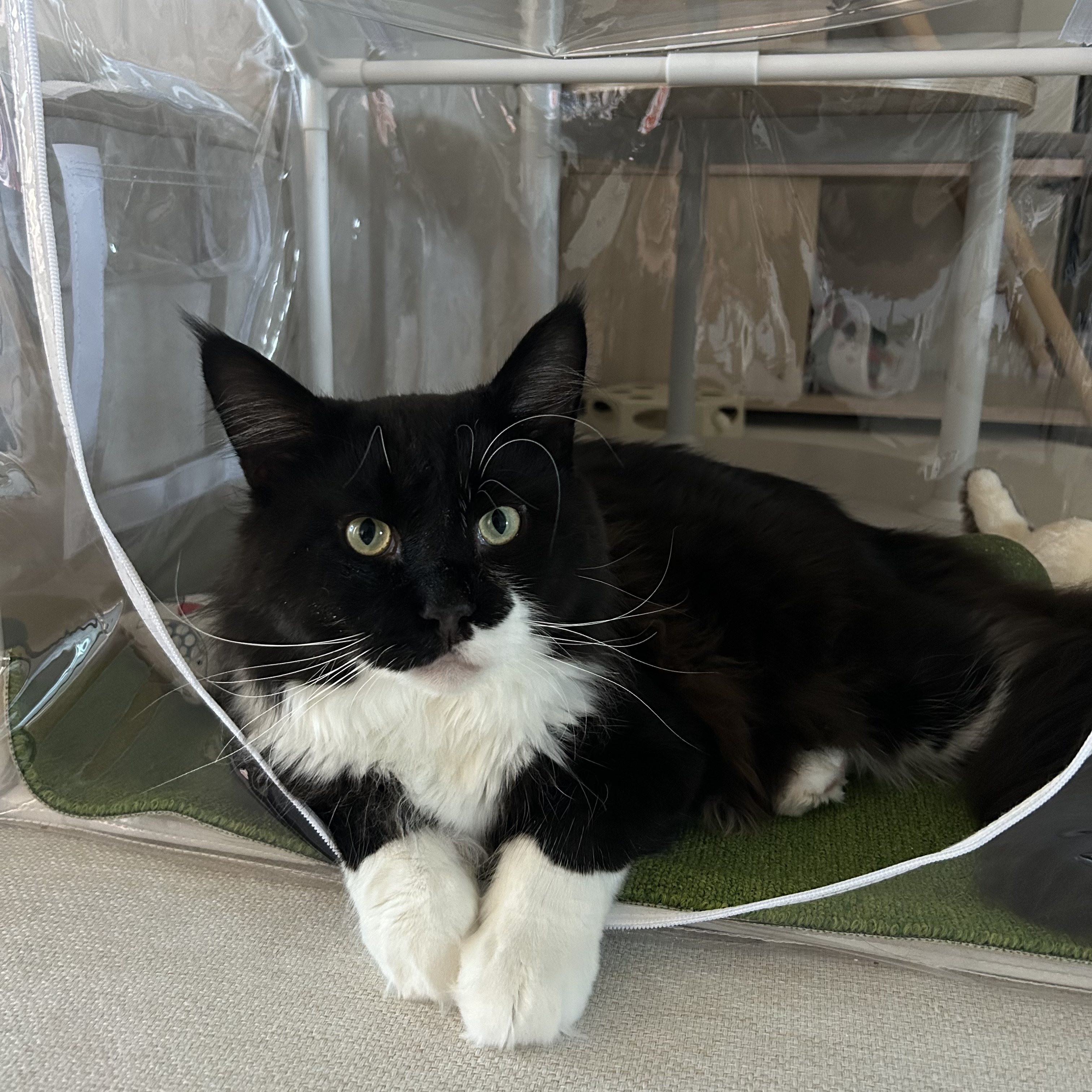 산이(인쿤이)와 벌써 한달 