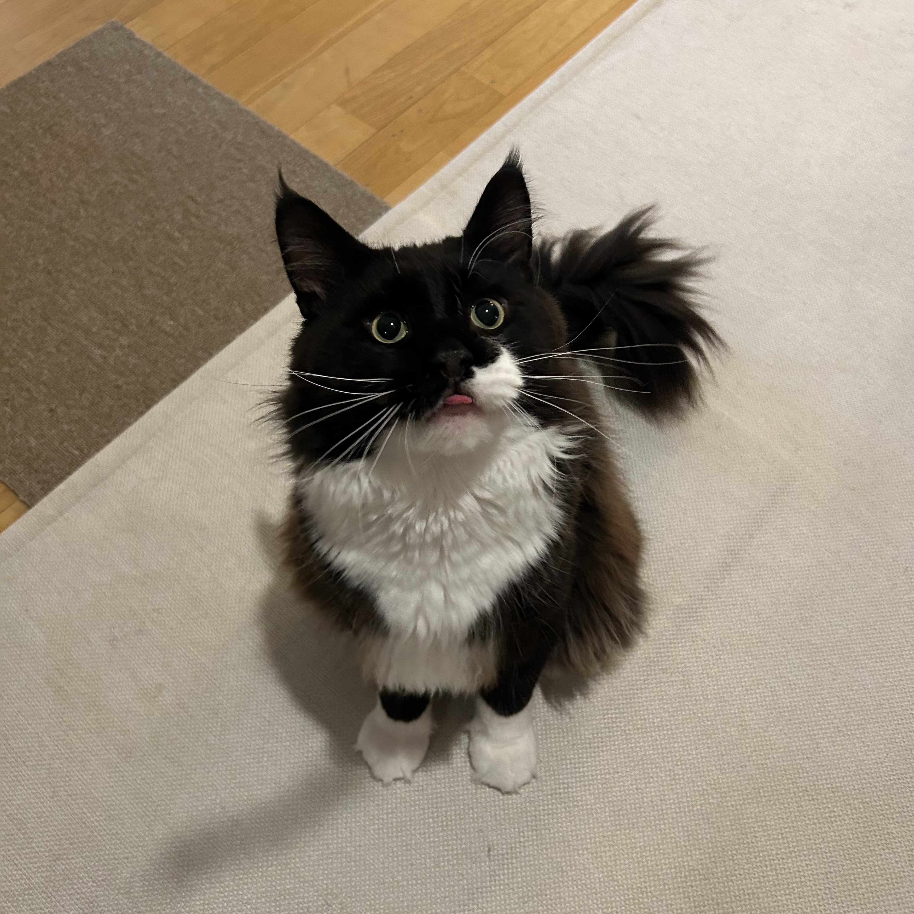 산이(인쿤이)와 벌써 한달 