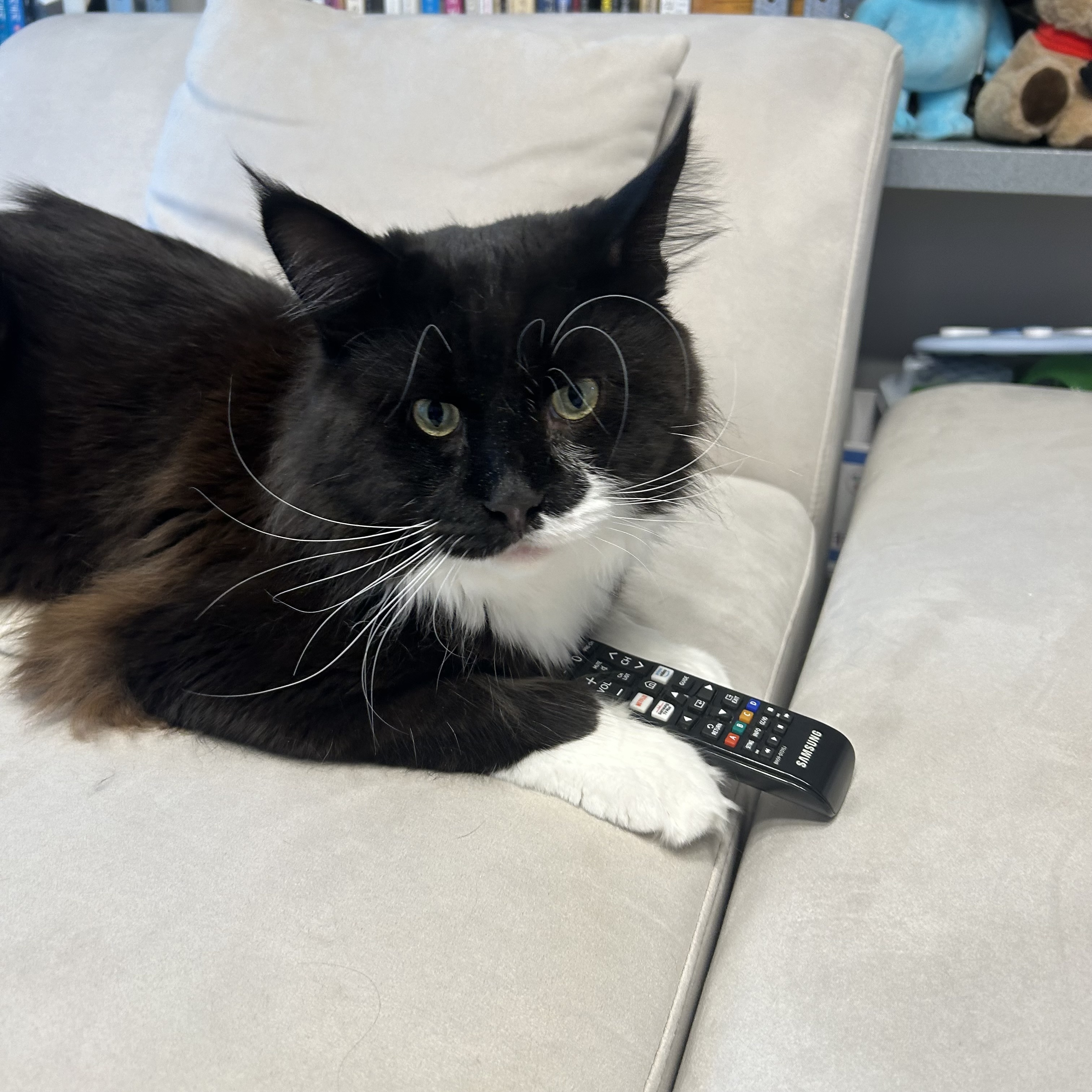 산이(인쿤이)와 벌써 한달 