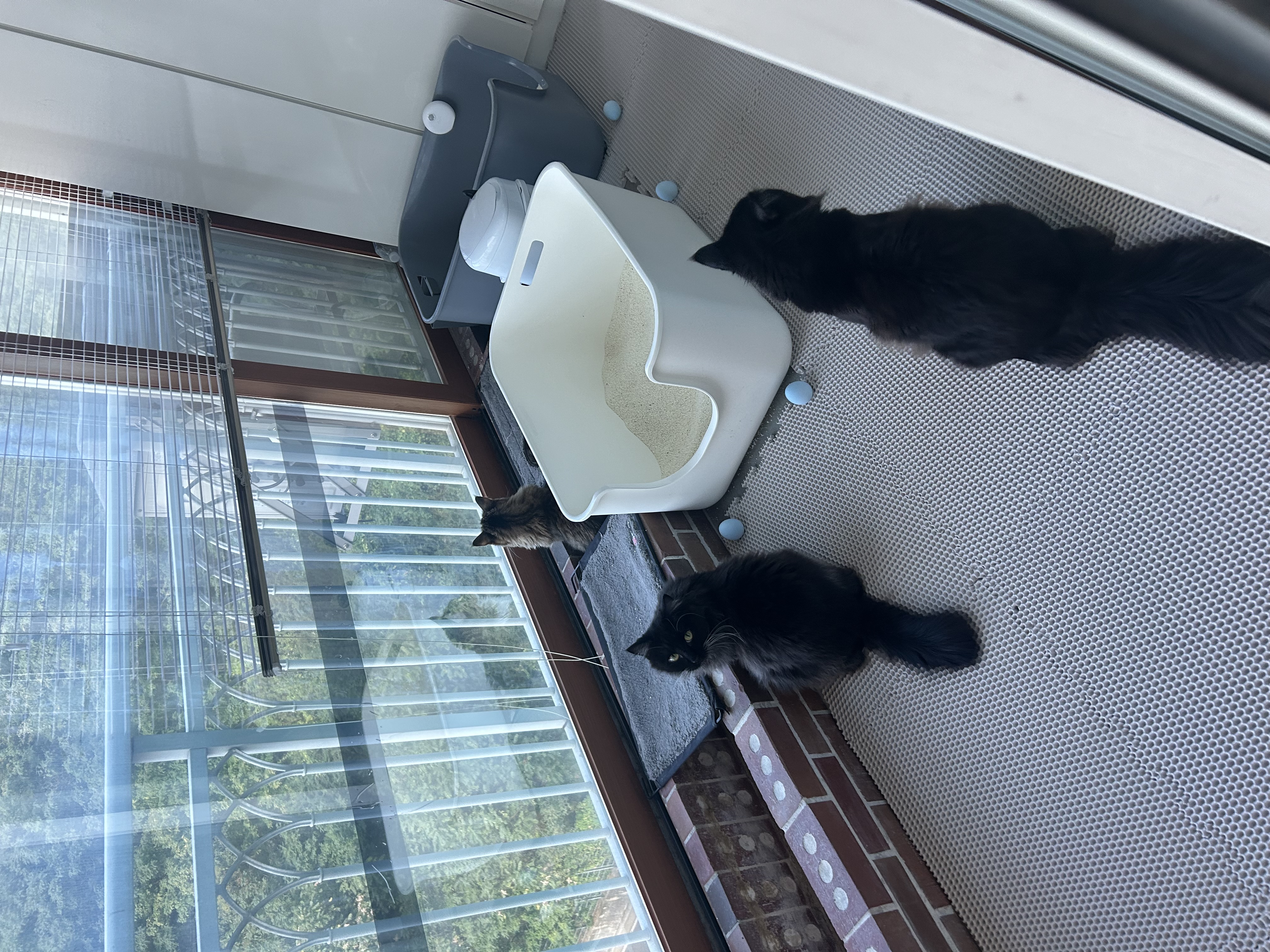 산이(인쿤이)와 벌써 한달 