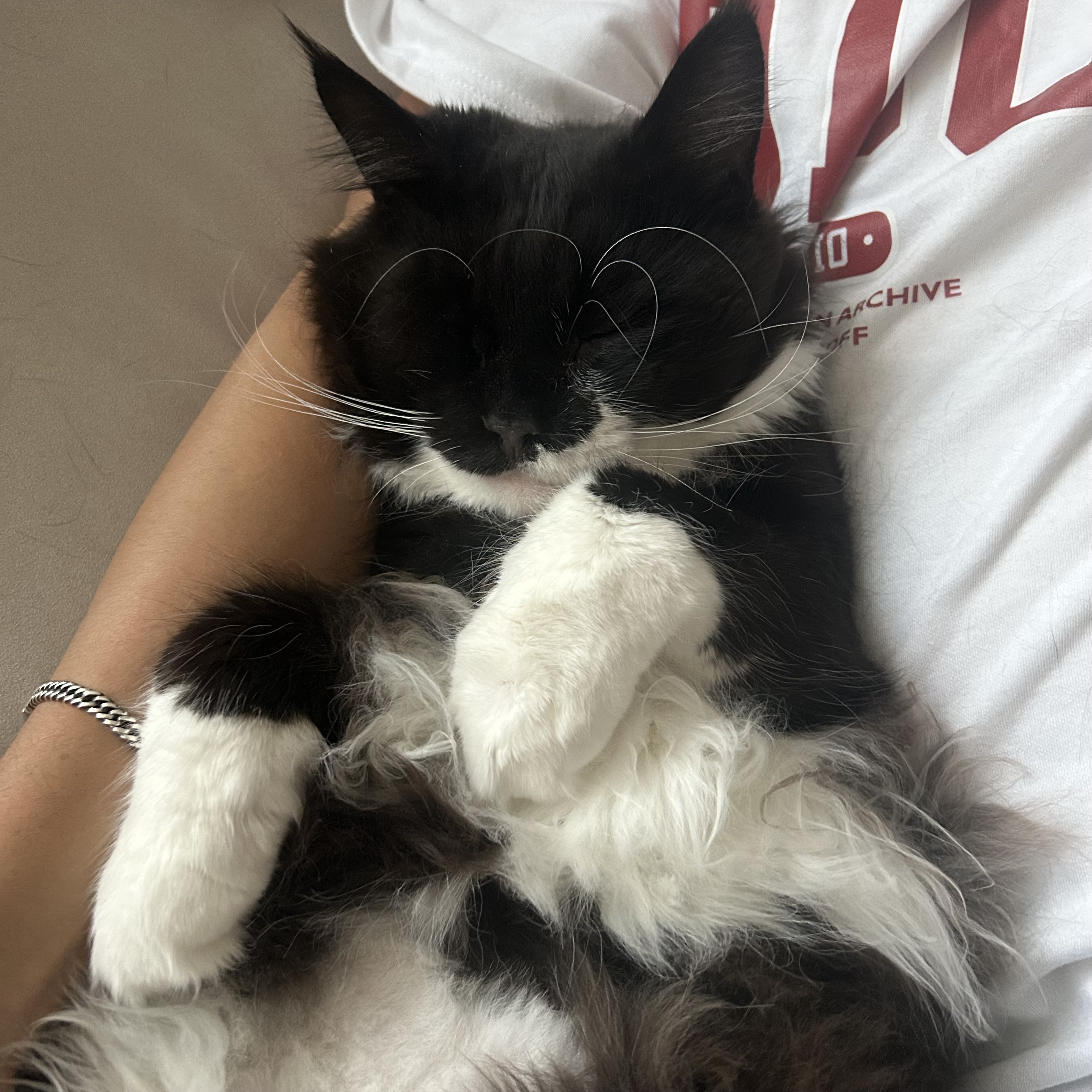 산이(인쿤이)와 벌써 한달 