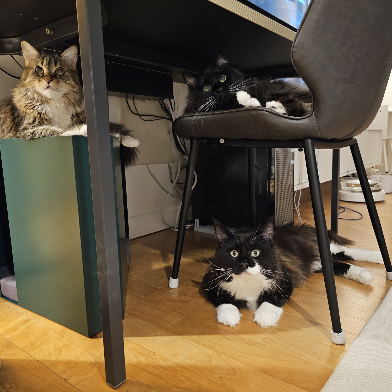 산이(인쿤이)와 벌써 한달 