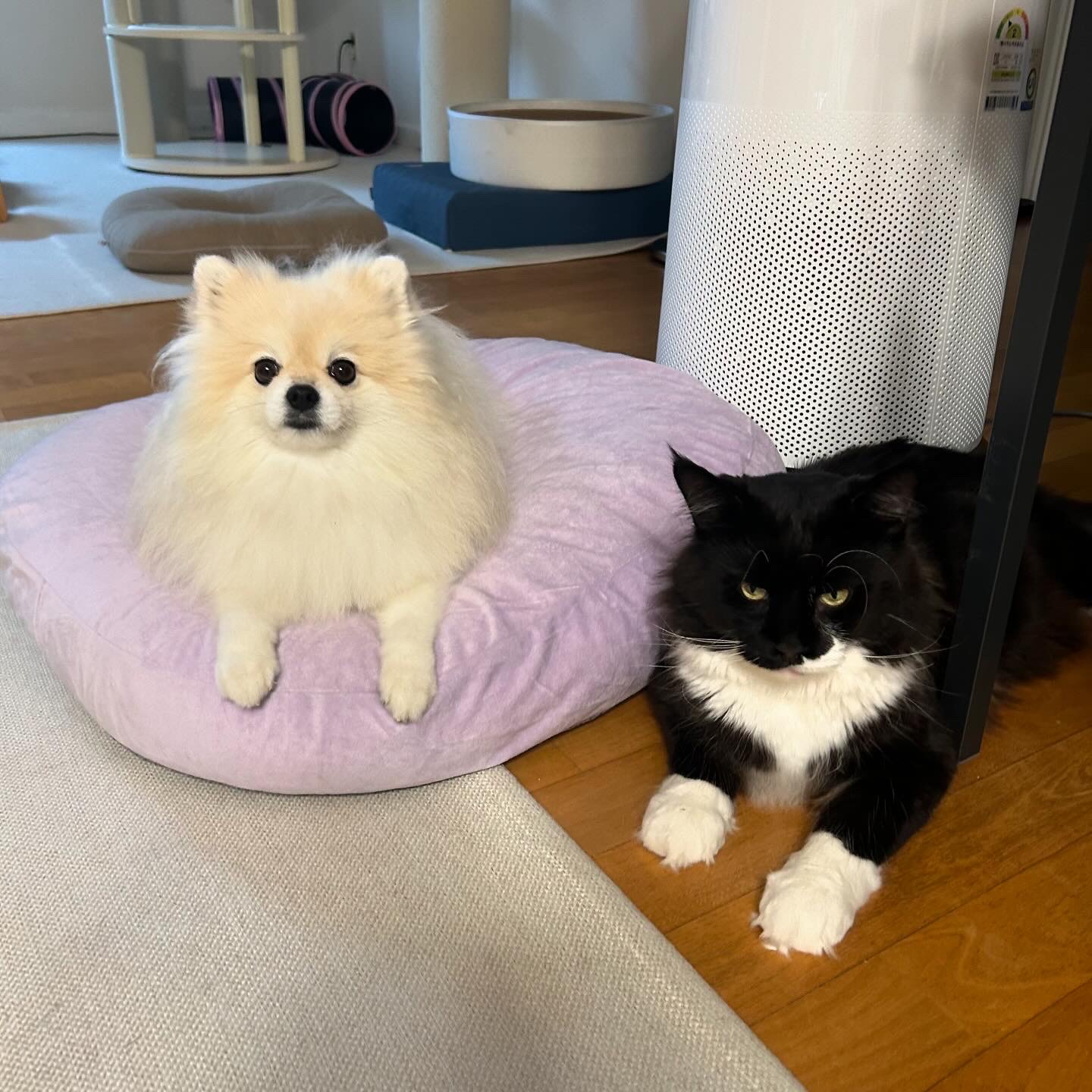 산이(인쿤이)와 벌써 한달 