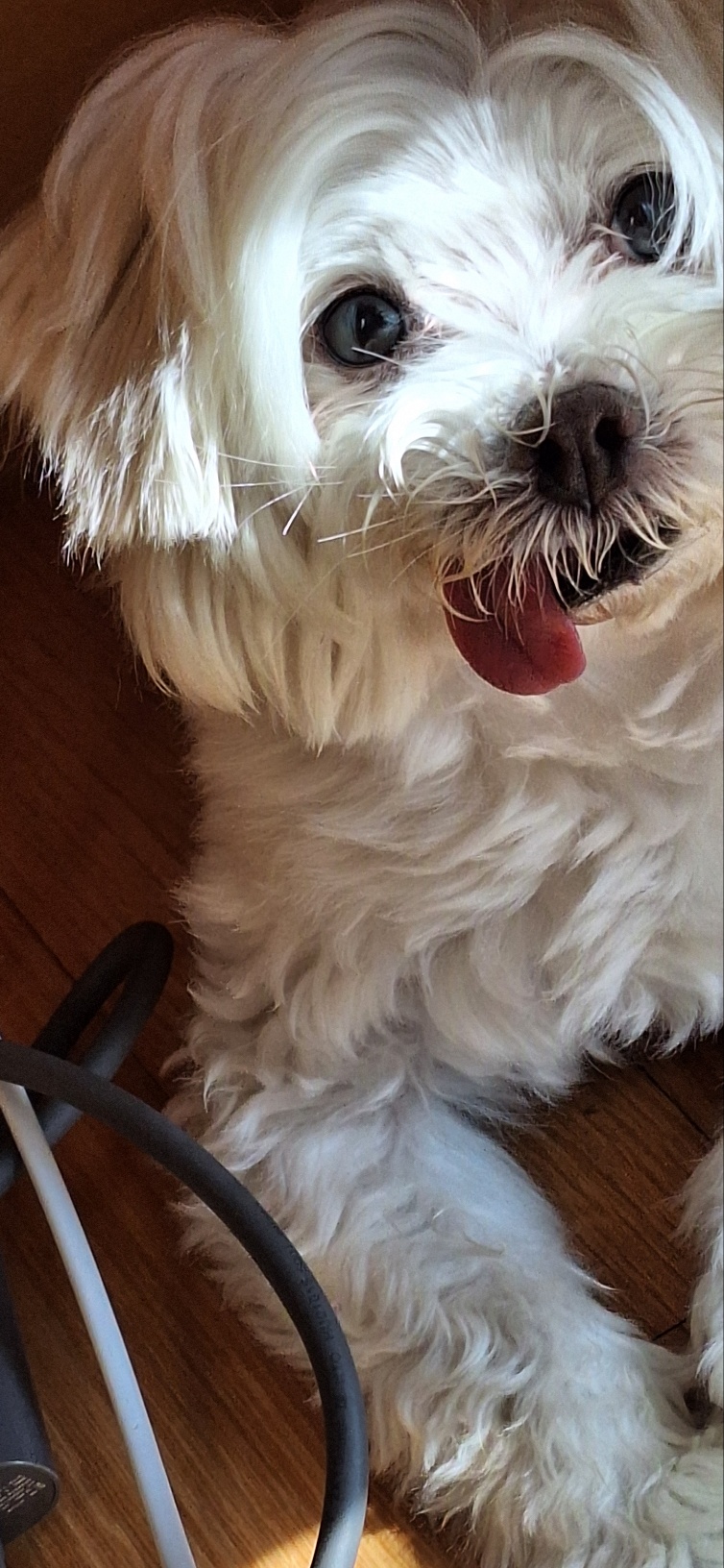 바로 임보 6개월째