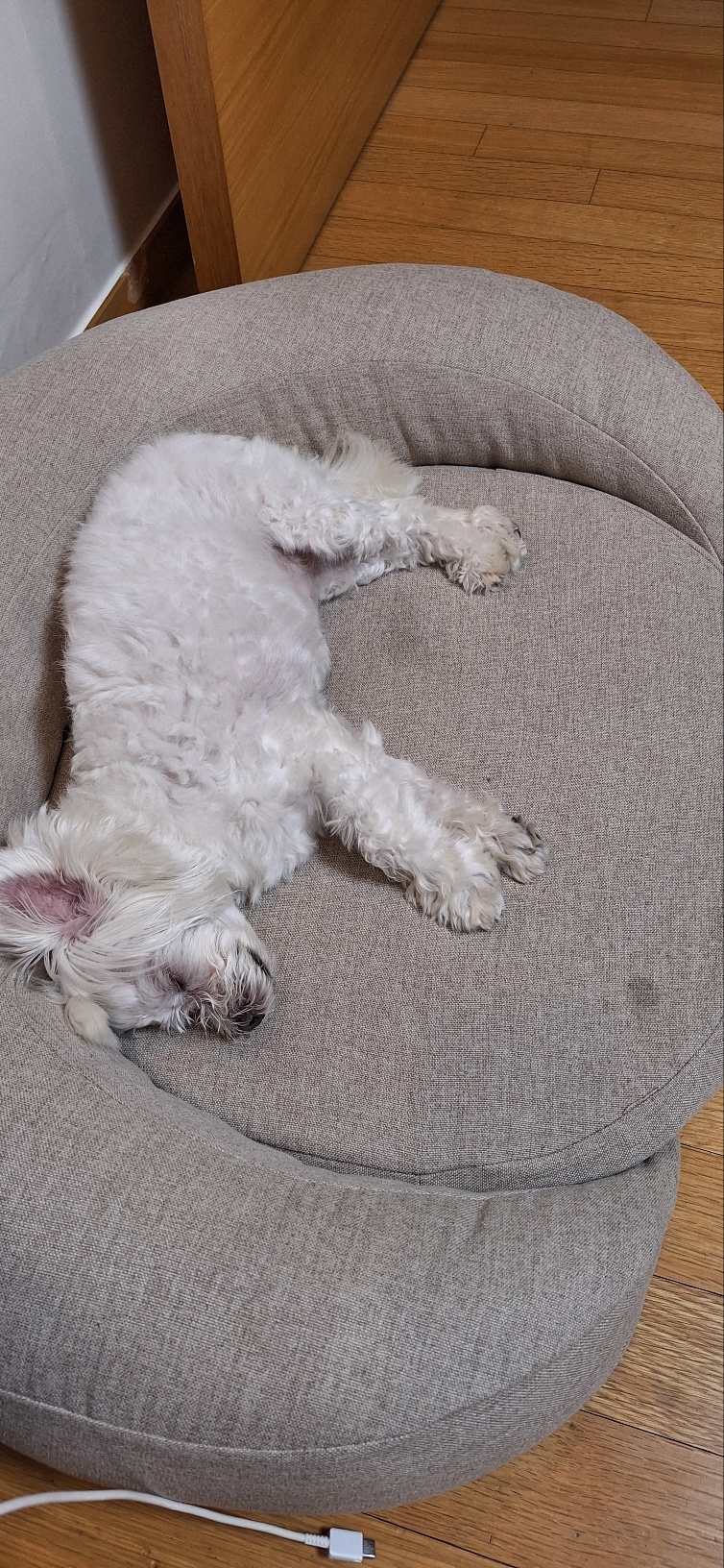 바로 임보 6개월째