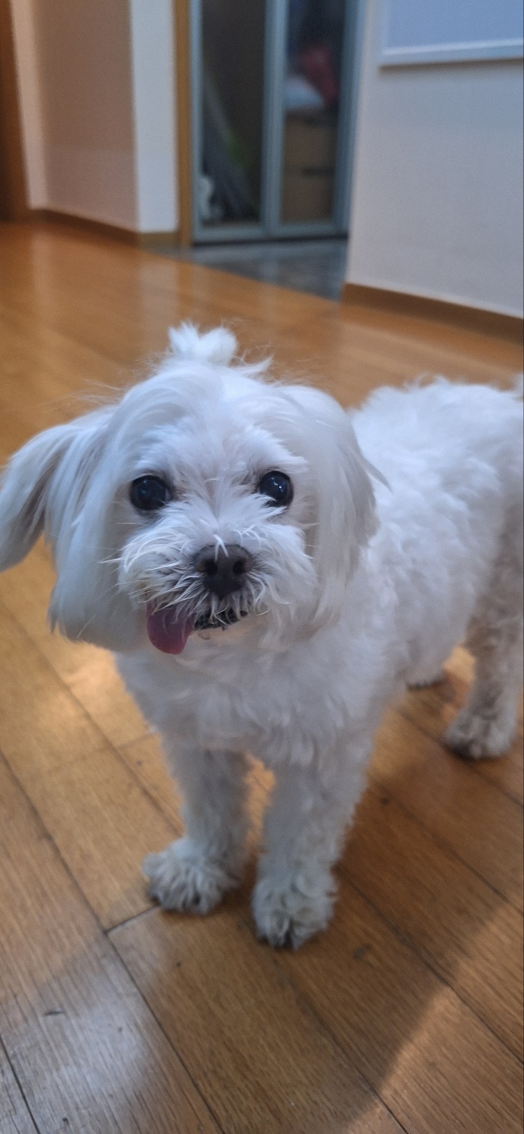 바로 임보 6개월째