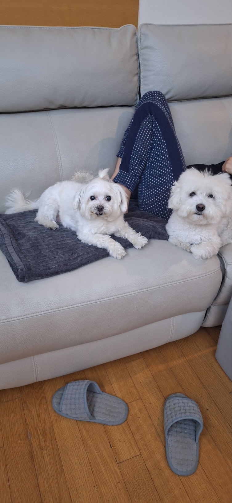 바로 임보 6개월째