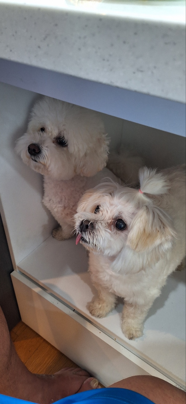 바로 임보 6개월째