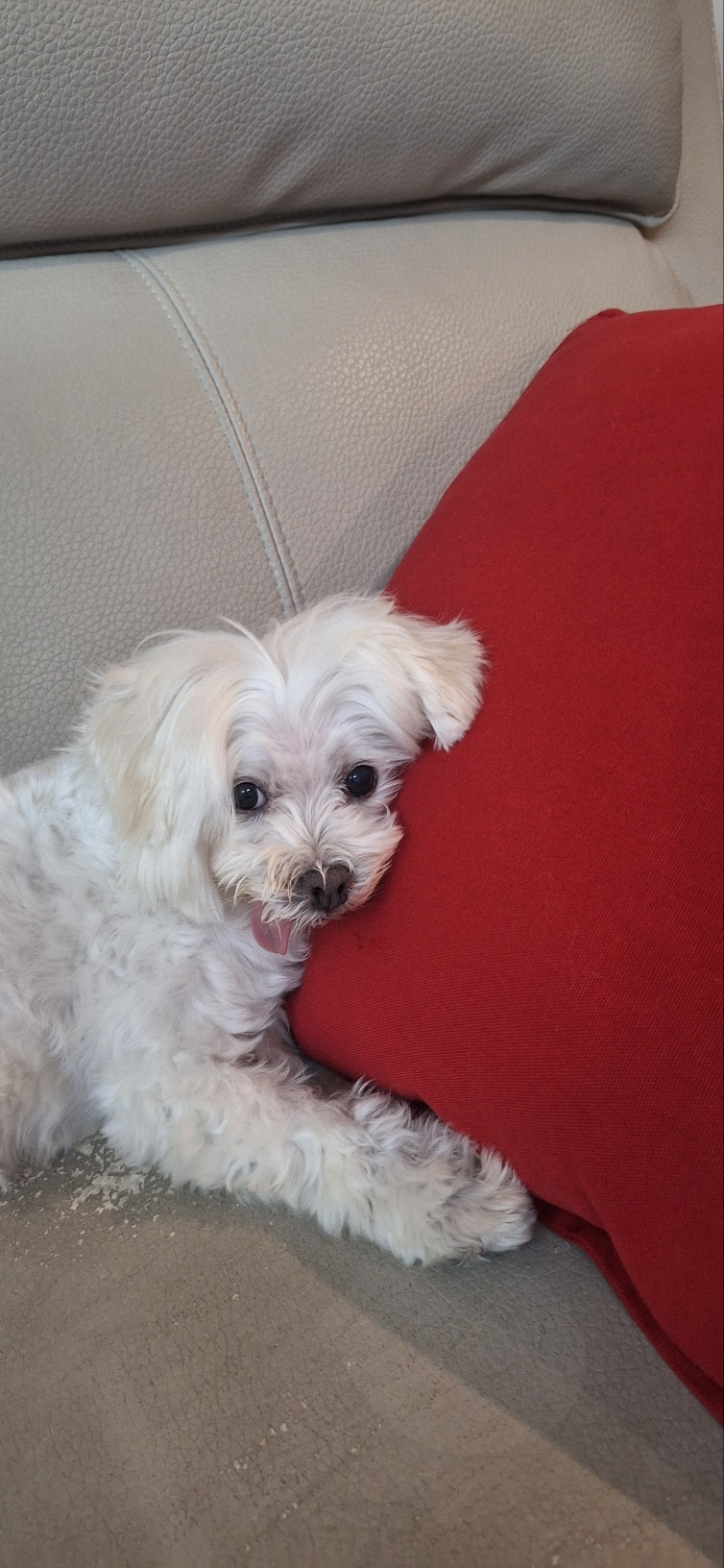 바로 임보 6개월째