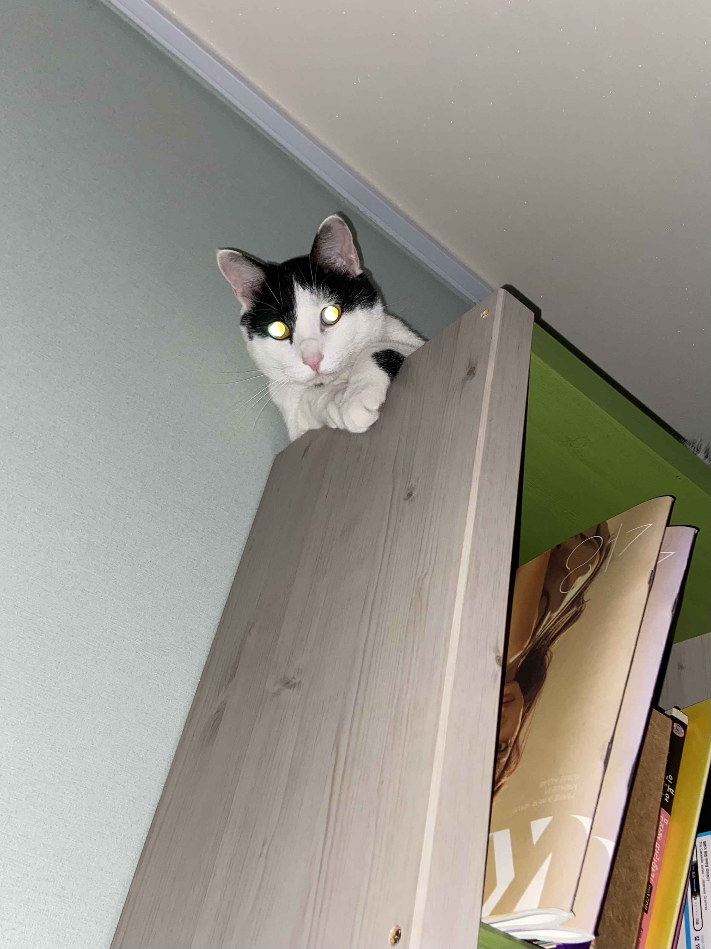 은하(구 늘찬)와의 1주년이예요!