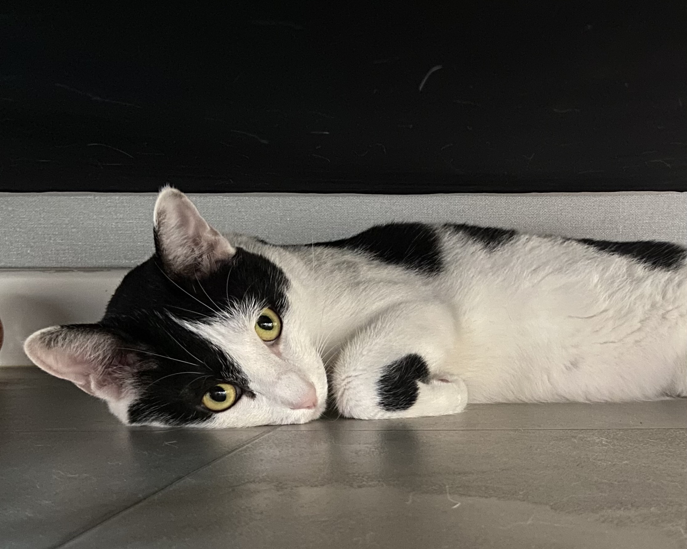 은하(구 늘찬)와의 1주년이예요!