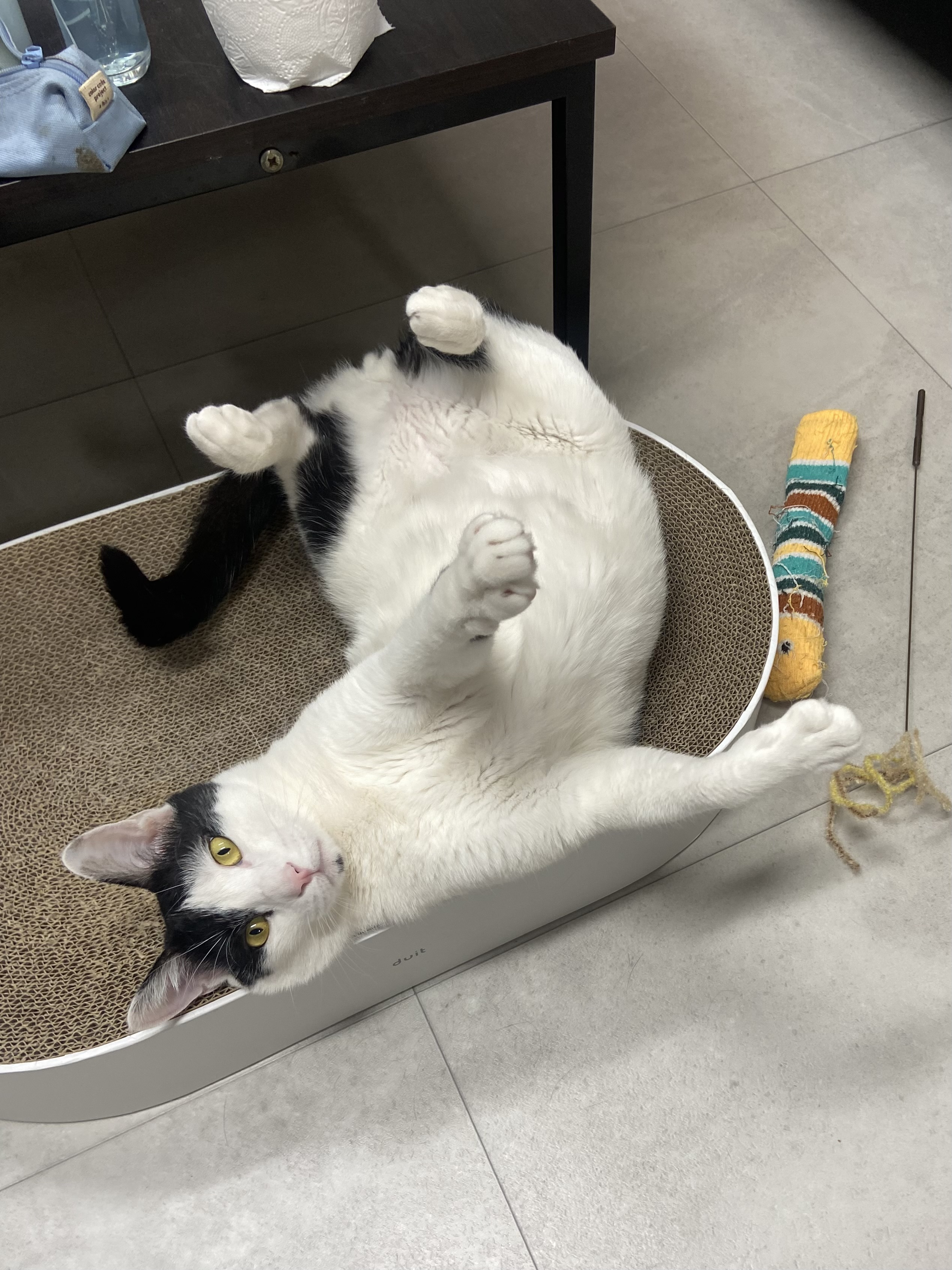 은하(구 늘찬)와의 1주년이예요!