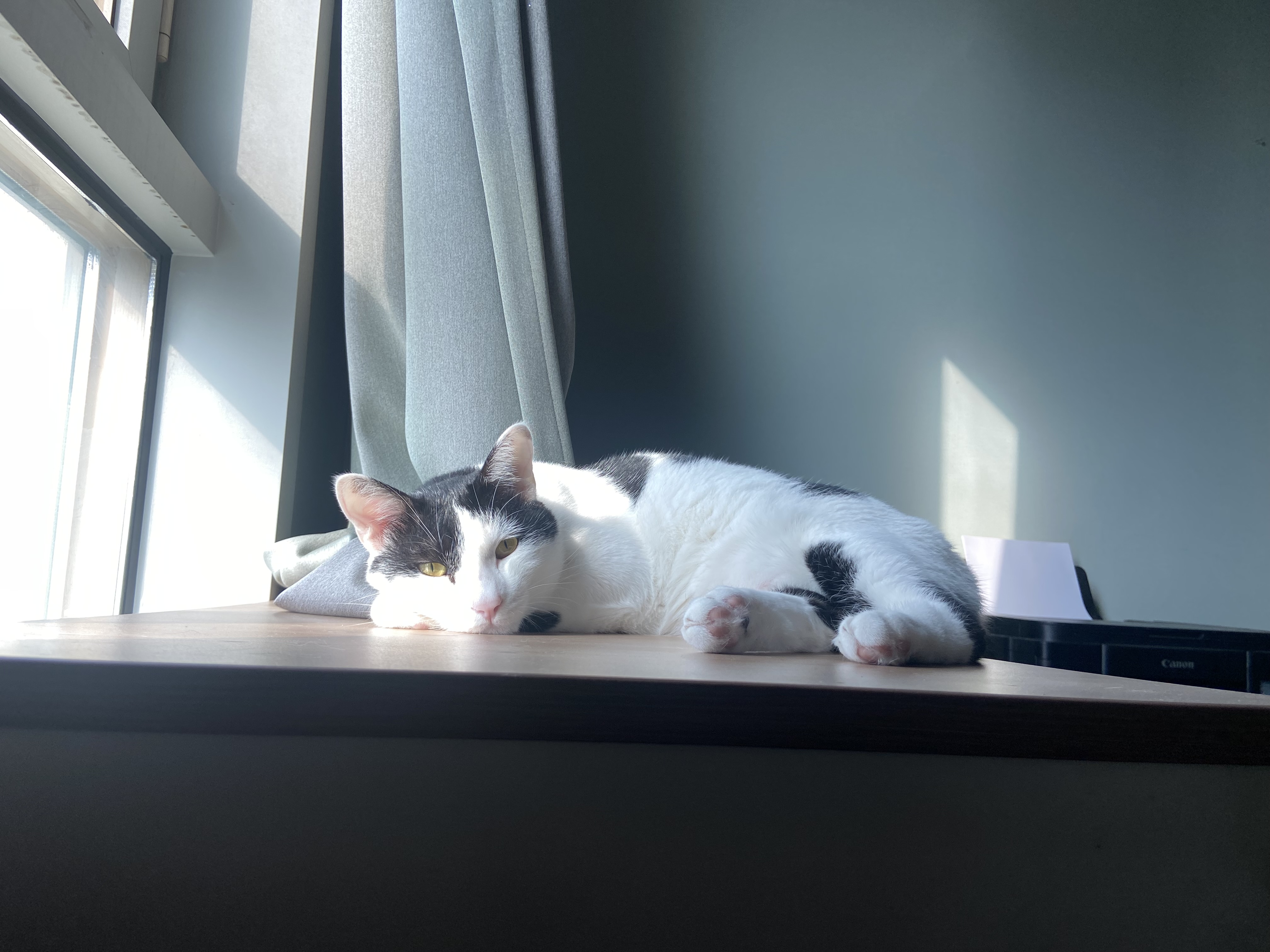 은하(구 늘찬)와의 1주년이예요!