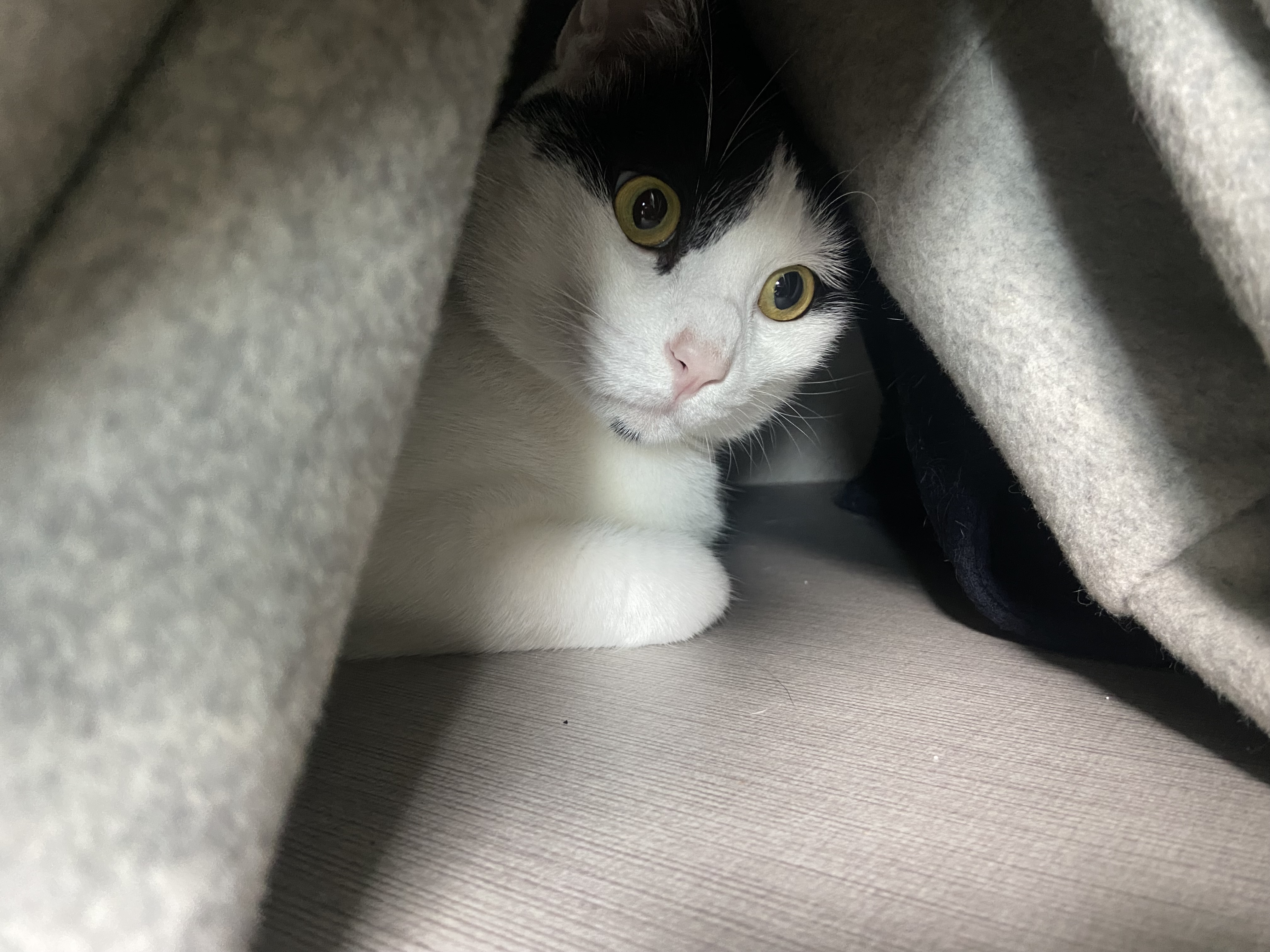 은하(구 늘찬)와의 1주년이예요!