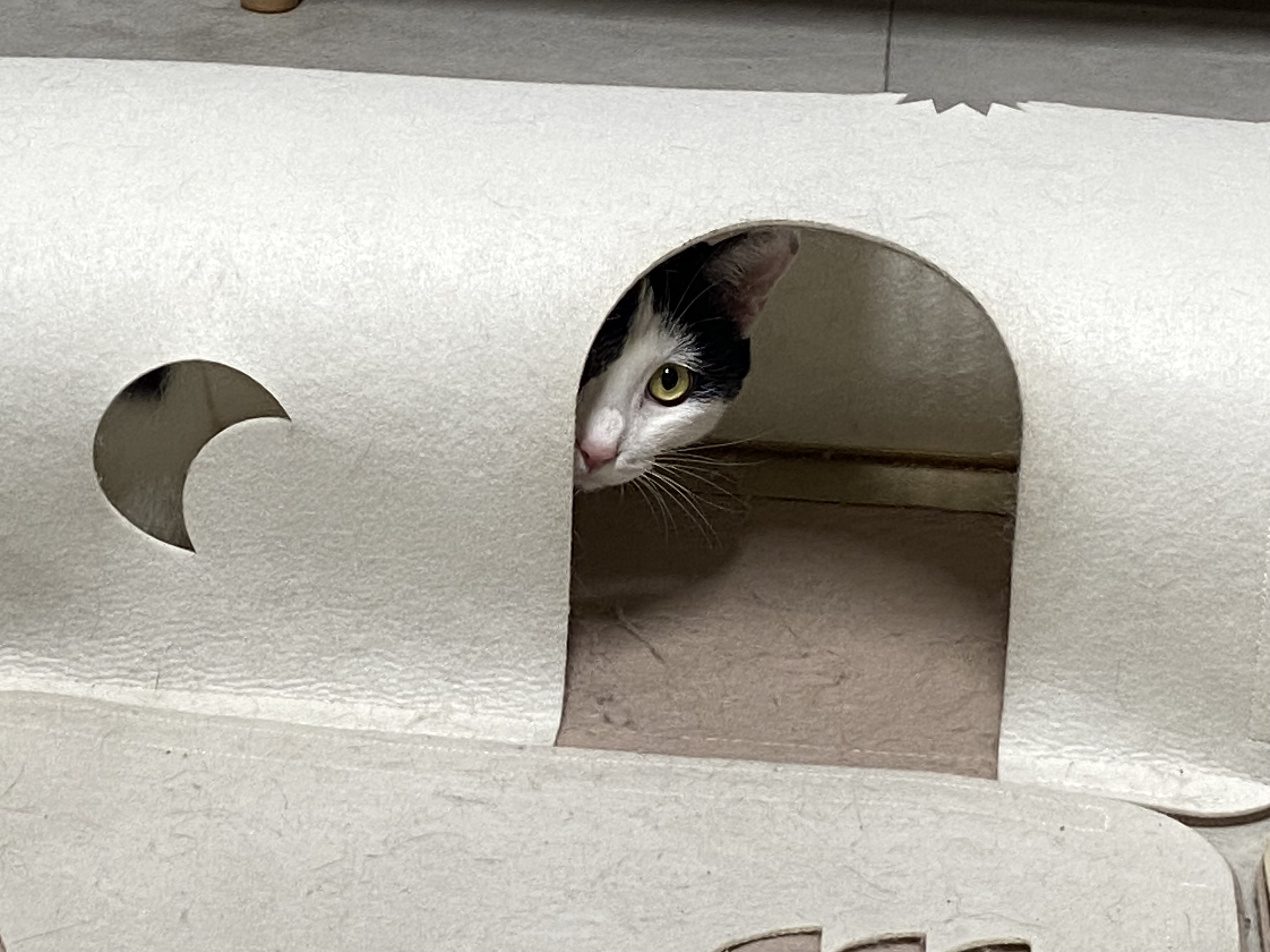 은하(구 늘찬)와의 1주년이예요!