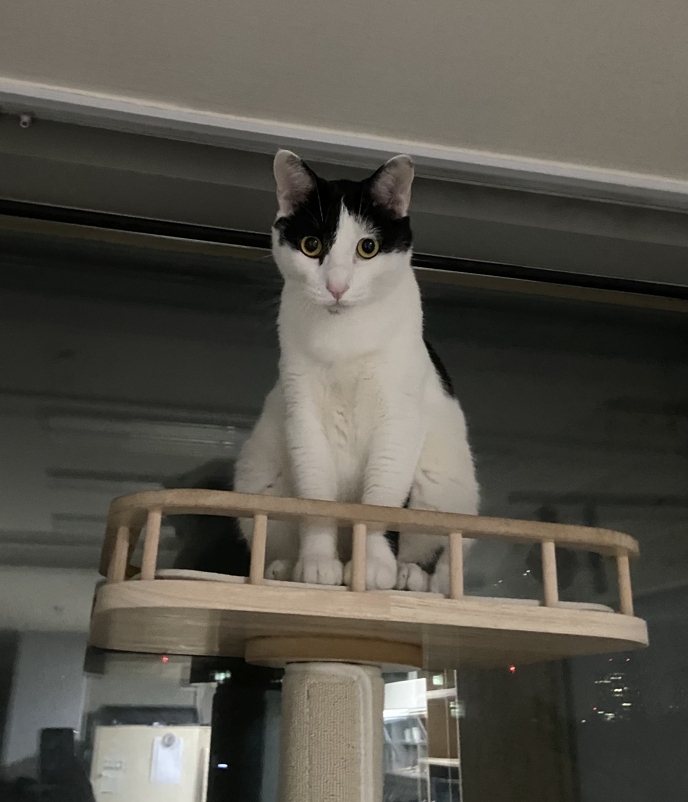 은하(구 늘찬)와의 1주년이예요!