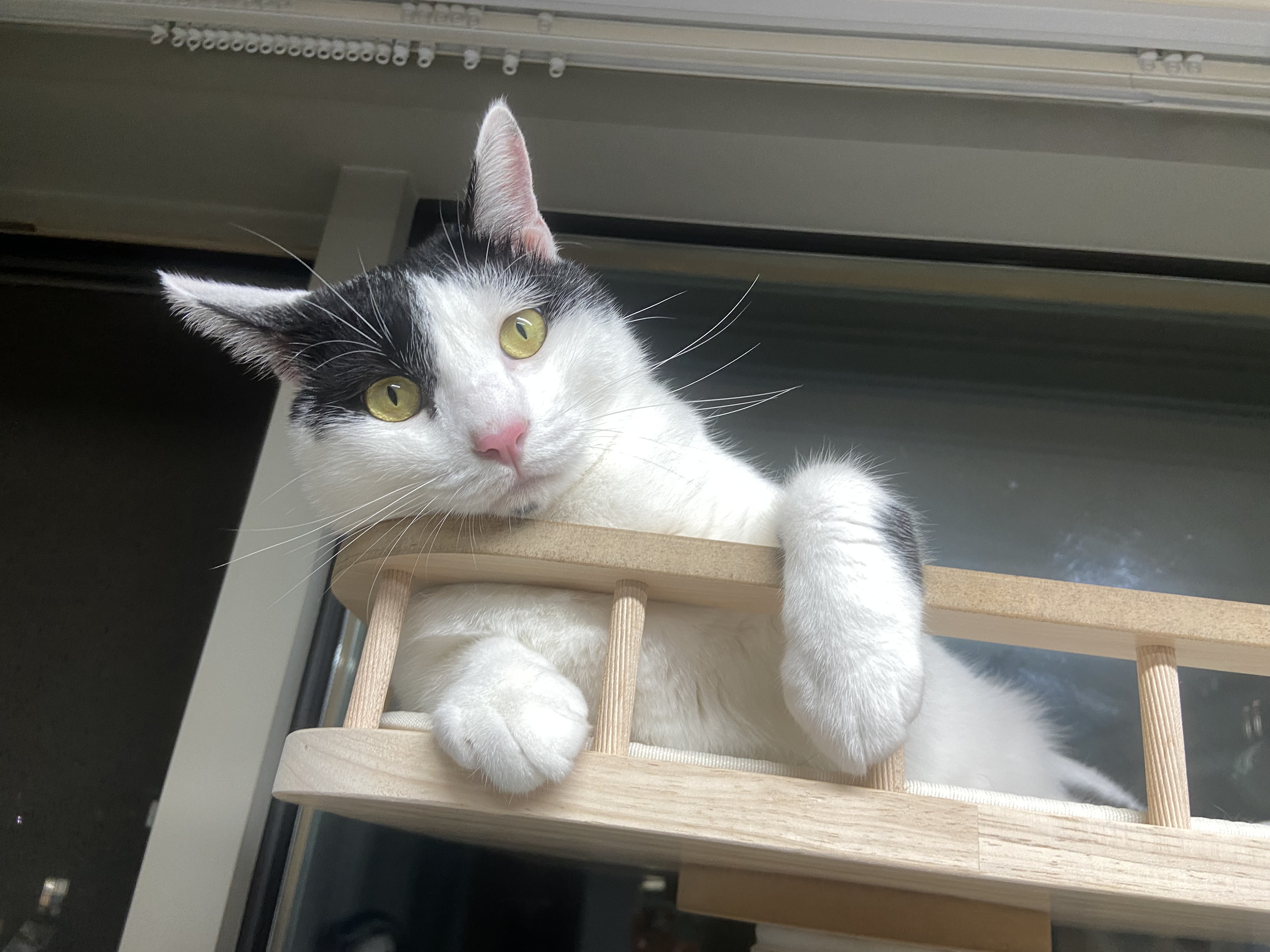 은하(구 늘찬)와의 1주년이예요!