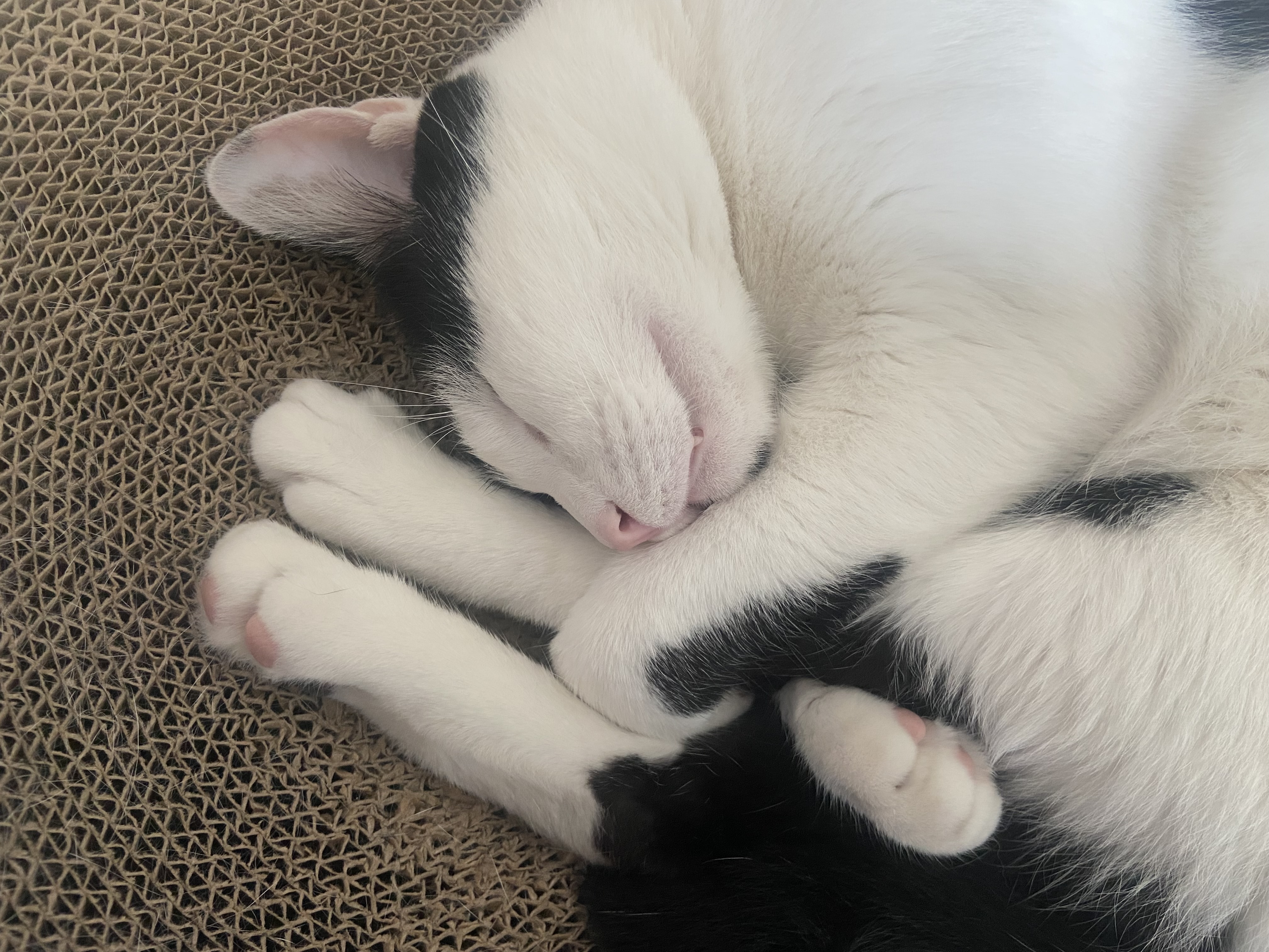 은하(구 늘찬)와의 1주년이예요!