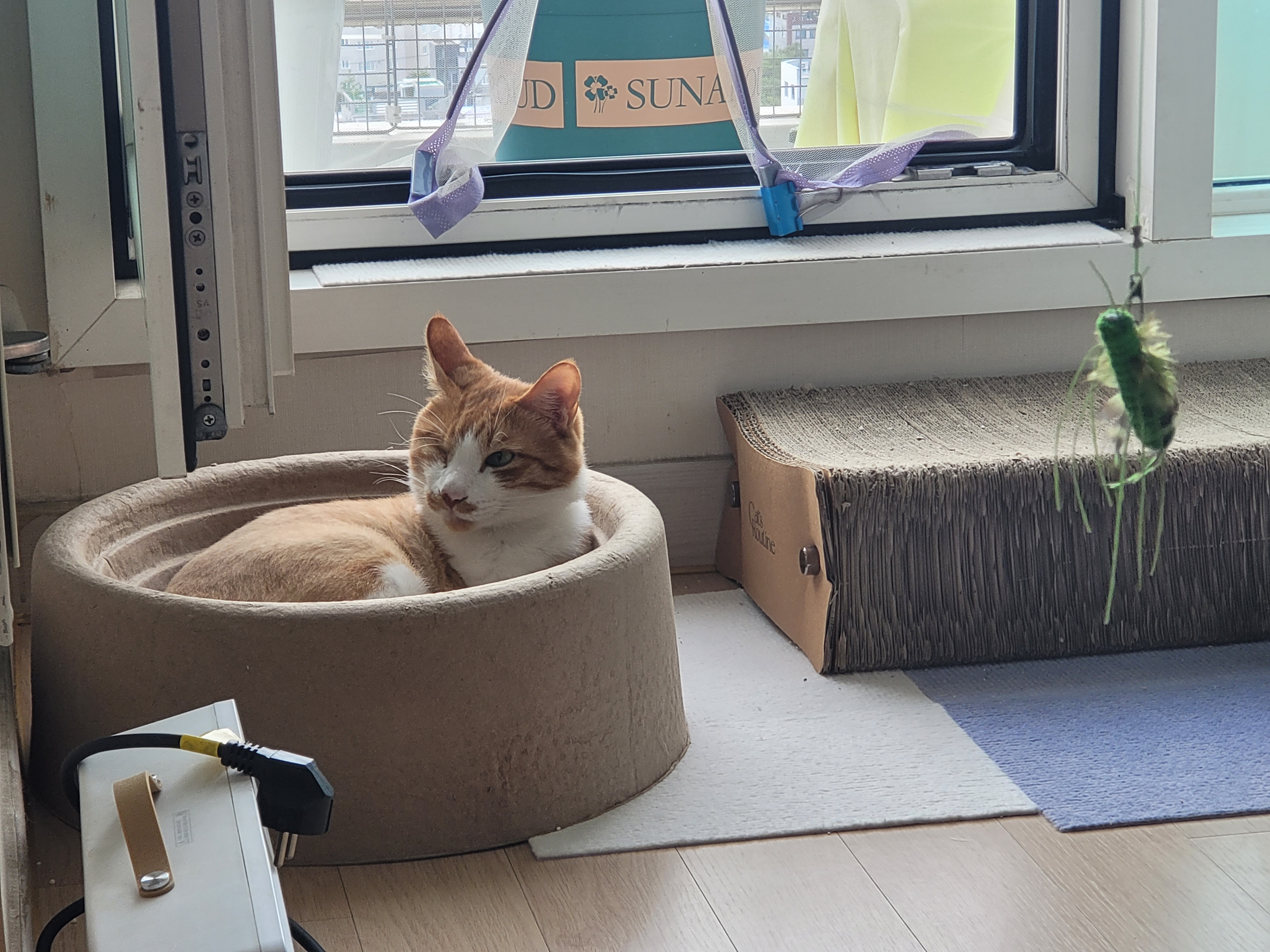 가티 (소나) 잘 지내고 있어요 ^^