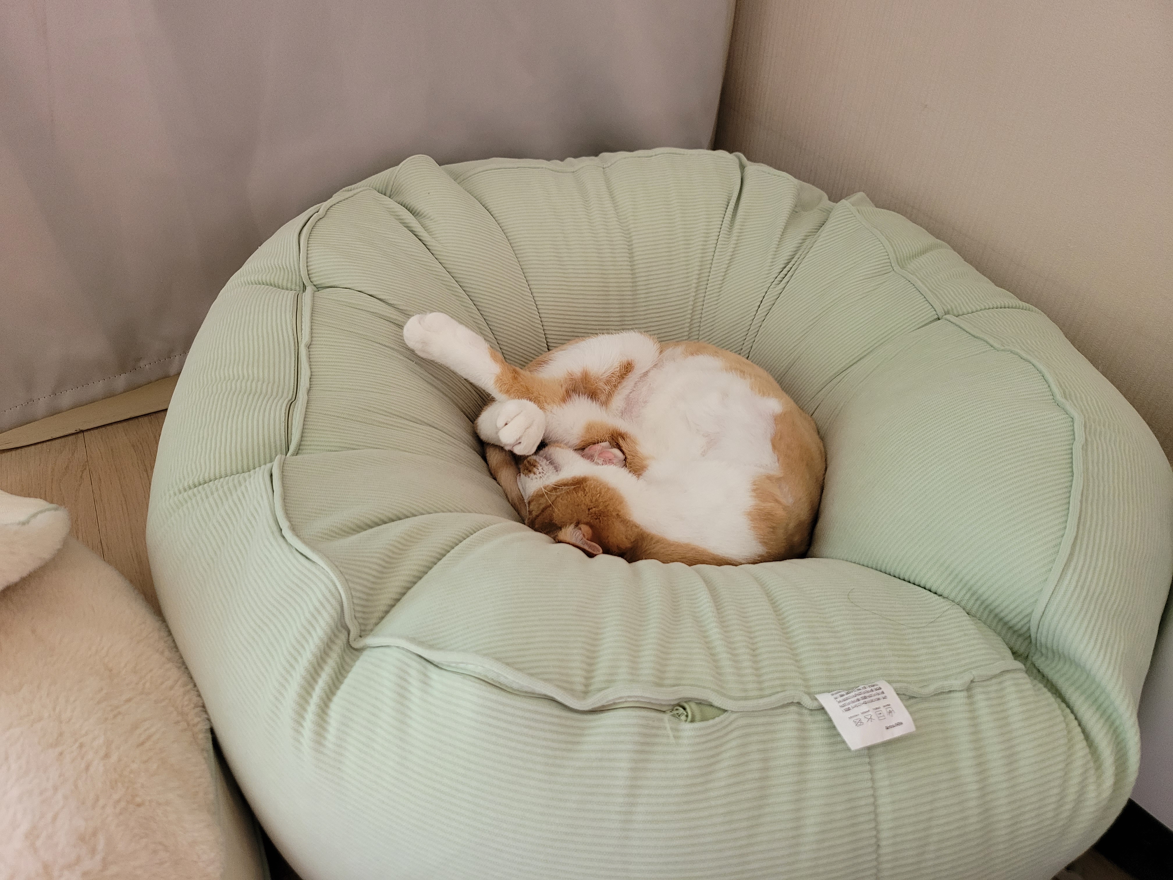 가티 (소나) 잘 지내고 있어요 ^^