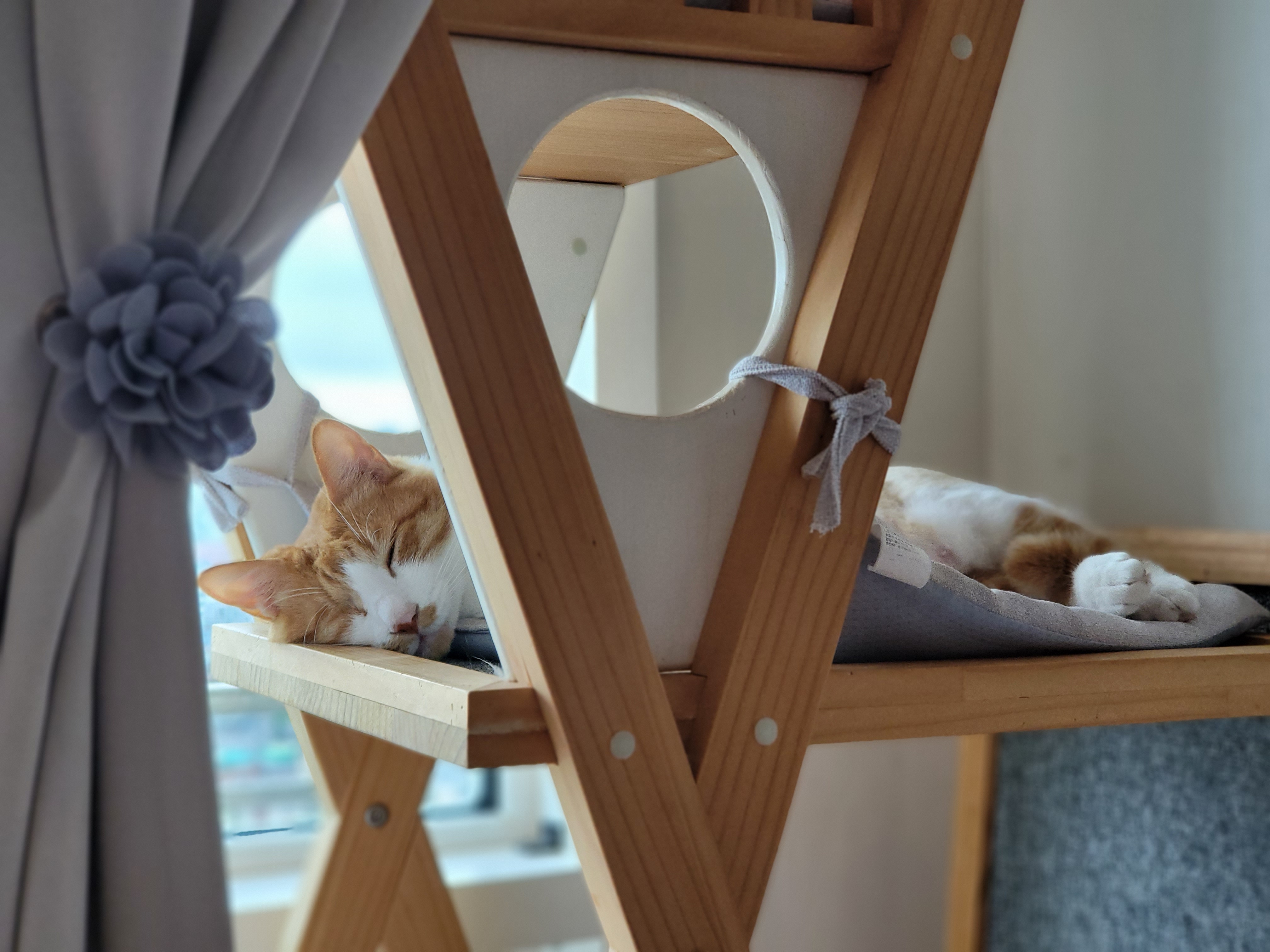 가티 (소나) 잘 지내고 있어요 ^^