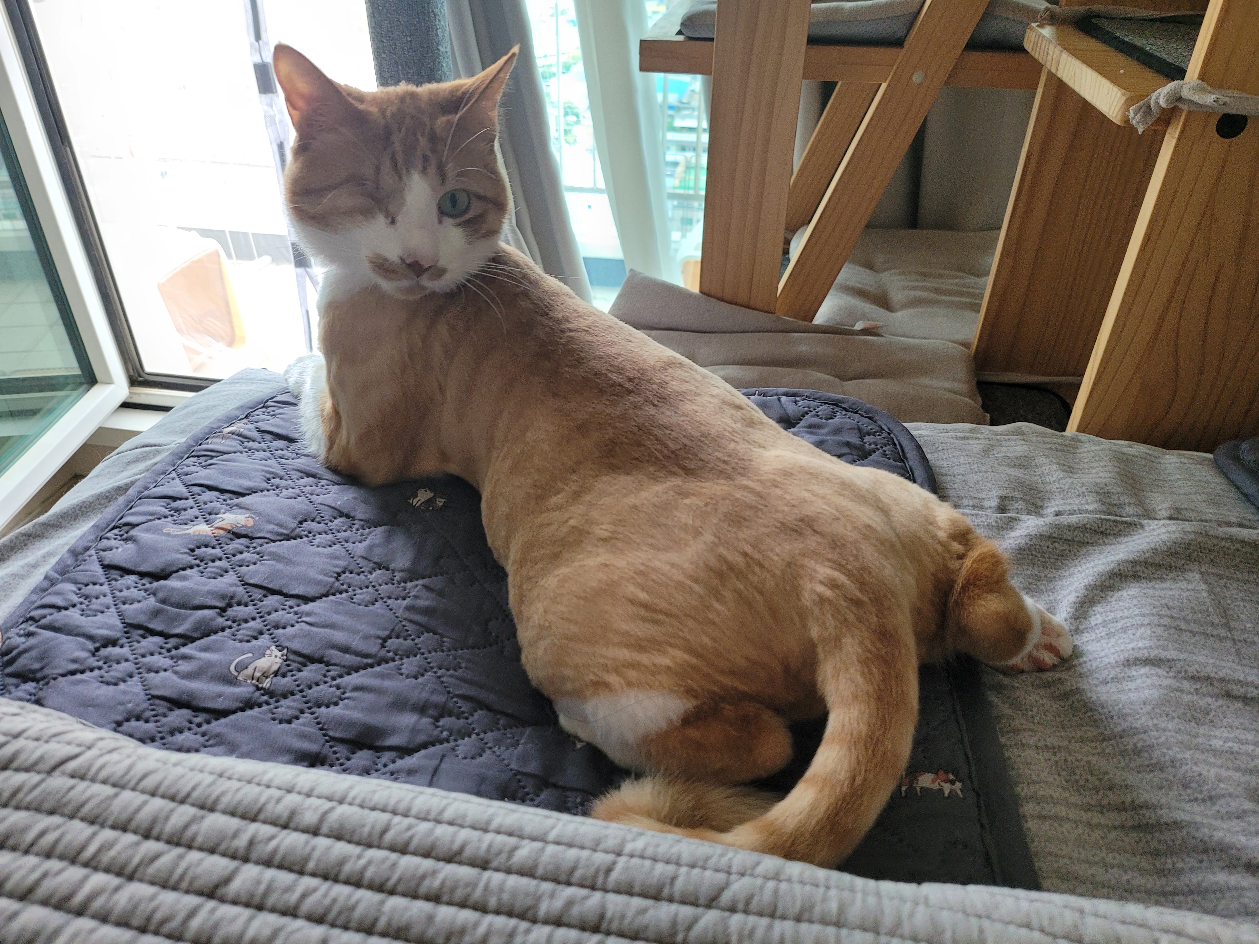 가티 (소나) 잘 지내고 있어요 ^^