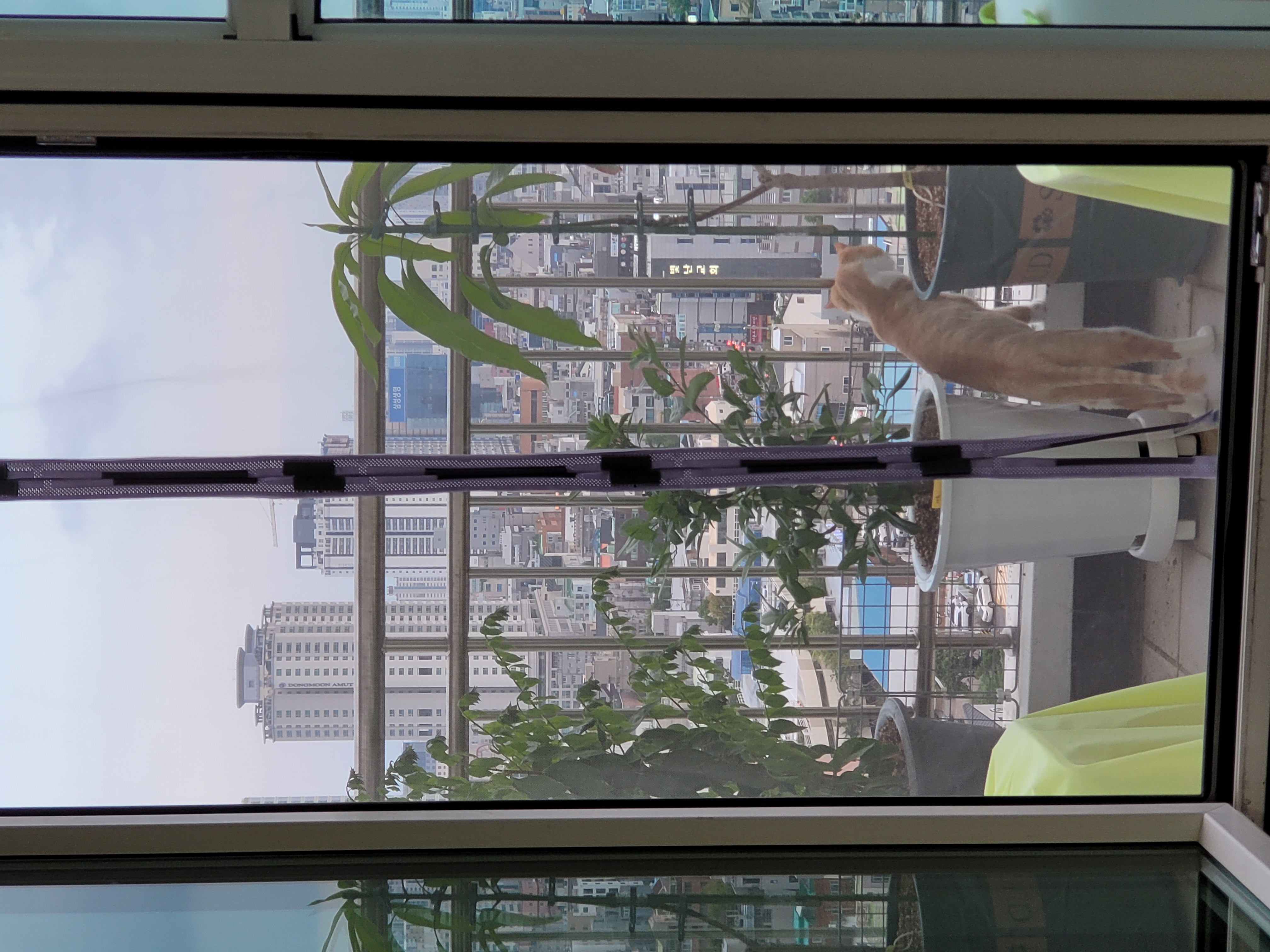 가티 (소나) 잘 지내고 있어요 ^^