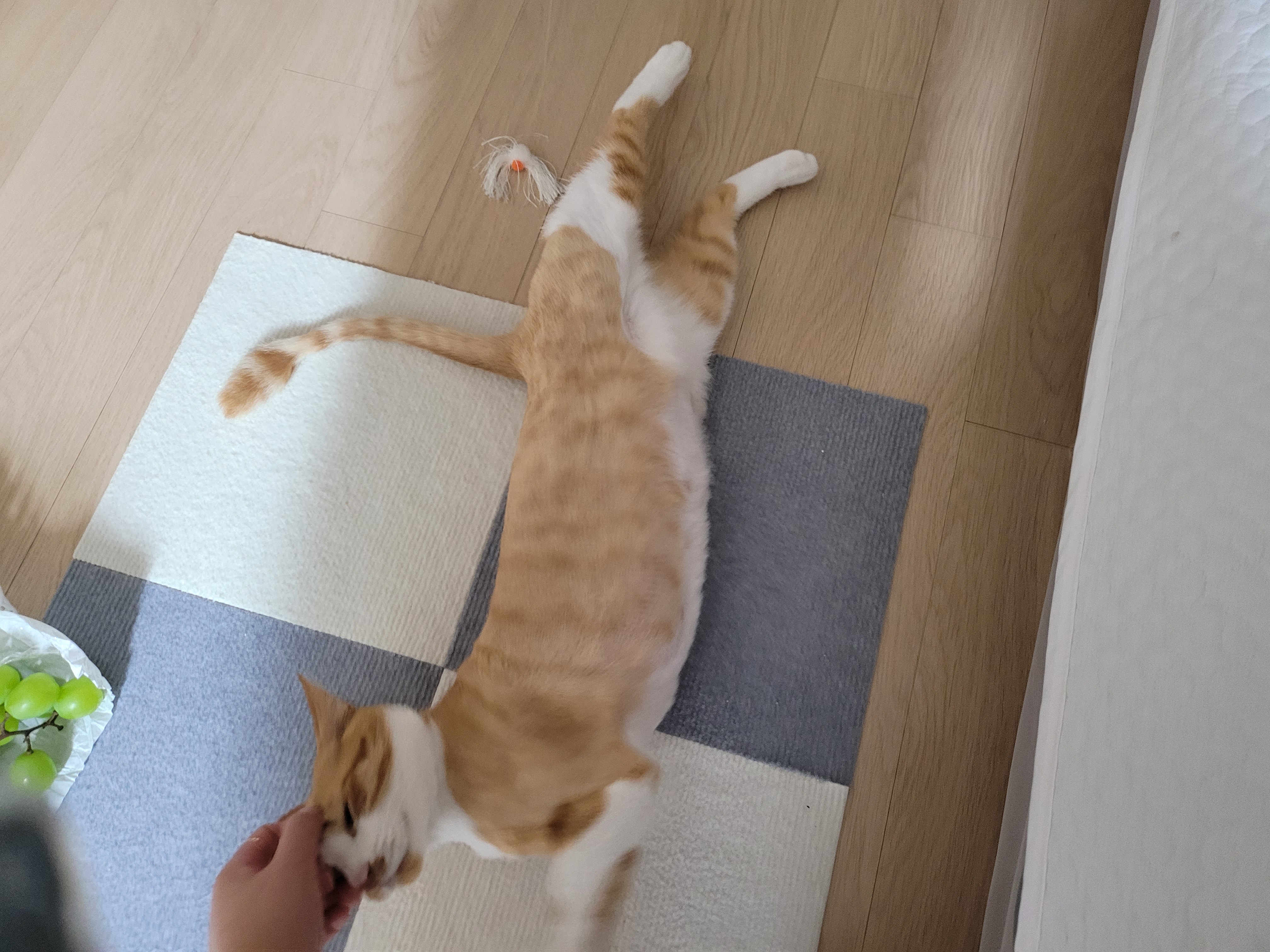 가티 (소나) 잘 지내고 있어요 ^^