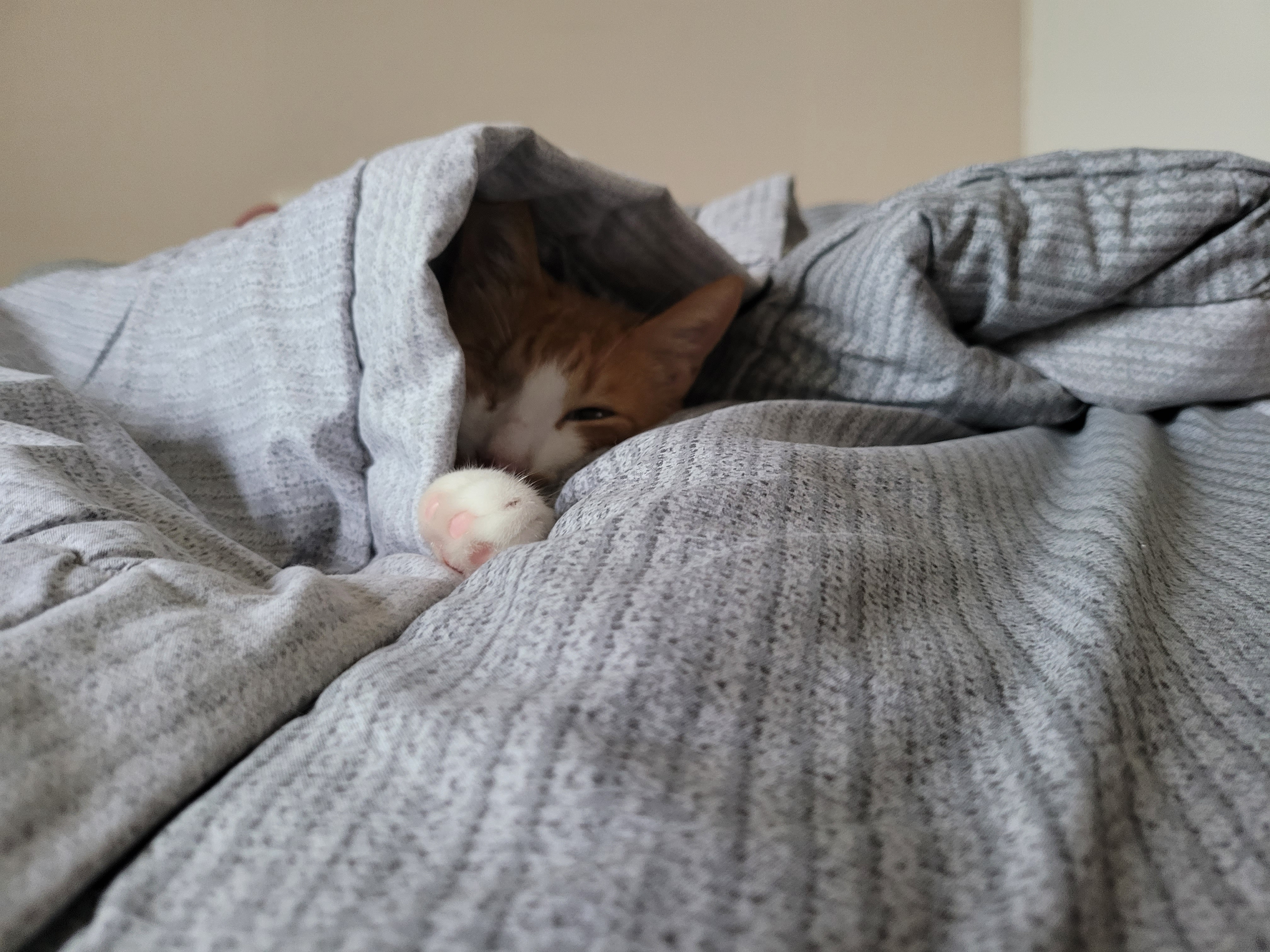 가티 (소나) 잘 지내고 있어요 ^^