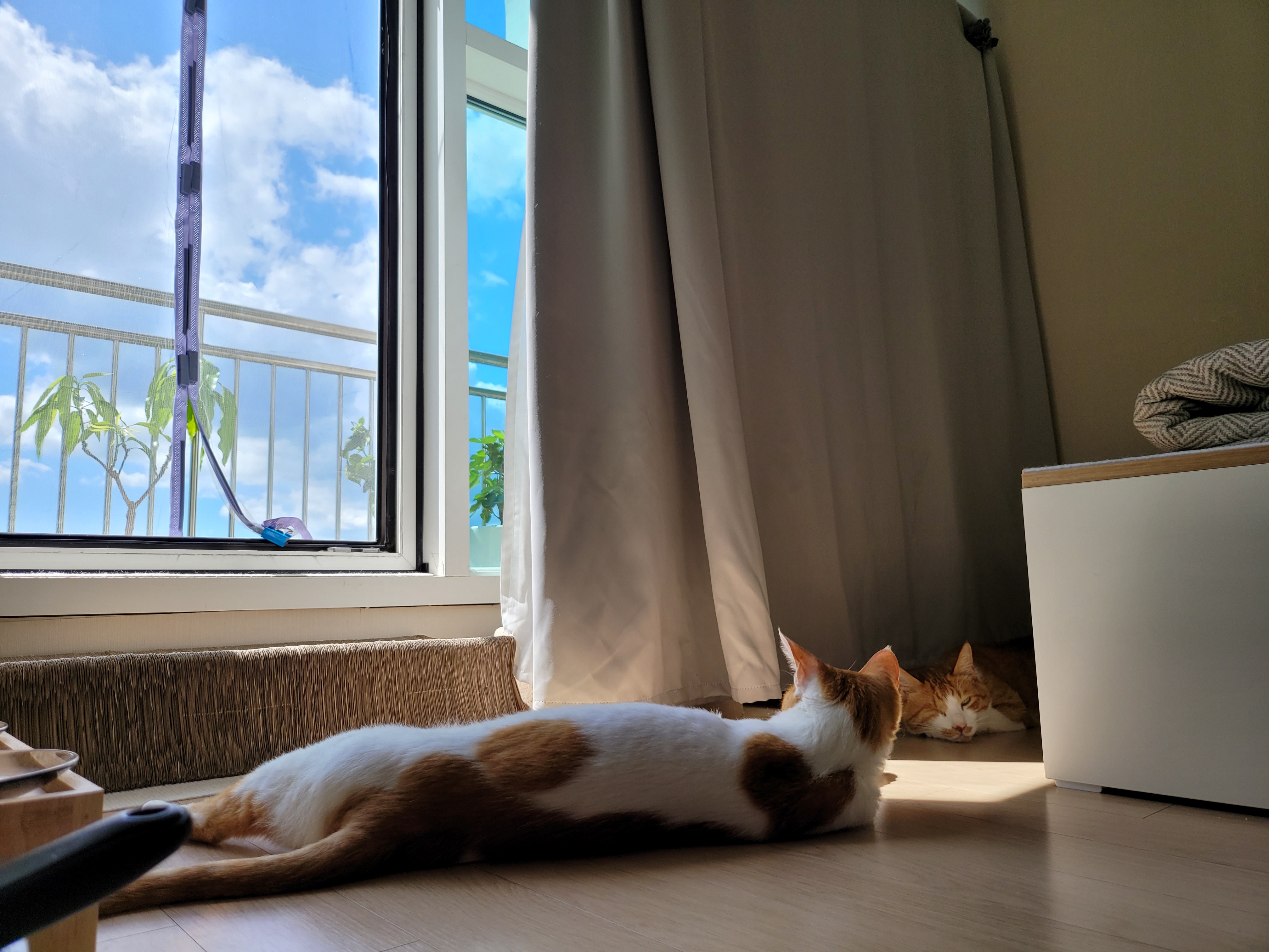 가티 (소나) 잘 지내고 있어요 ^^