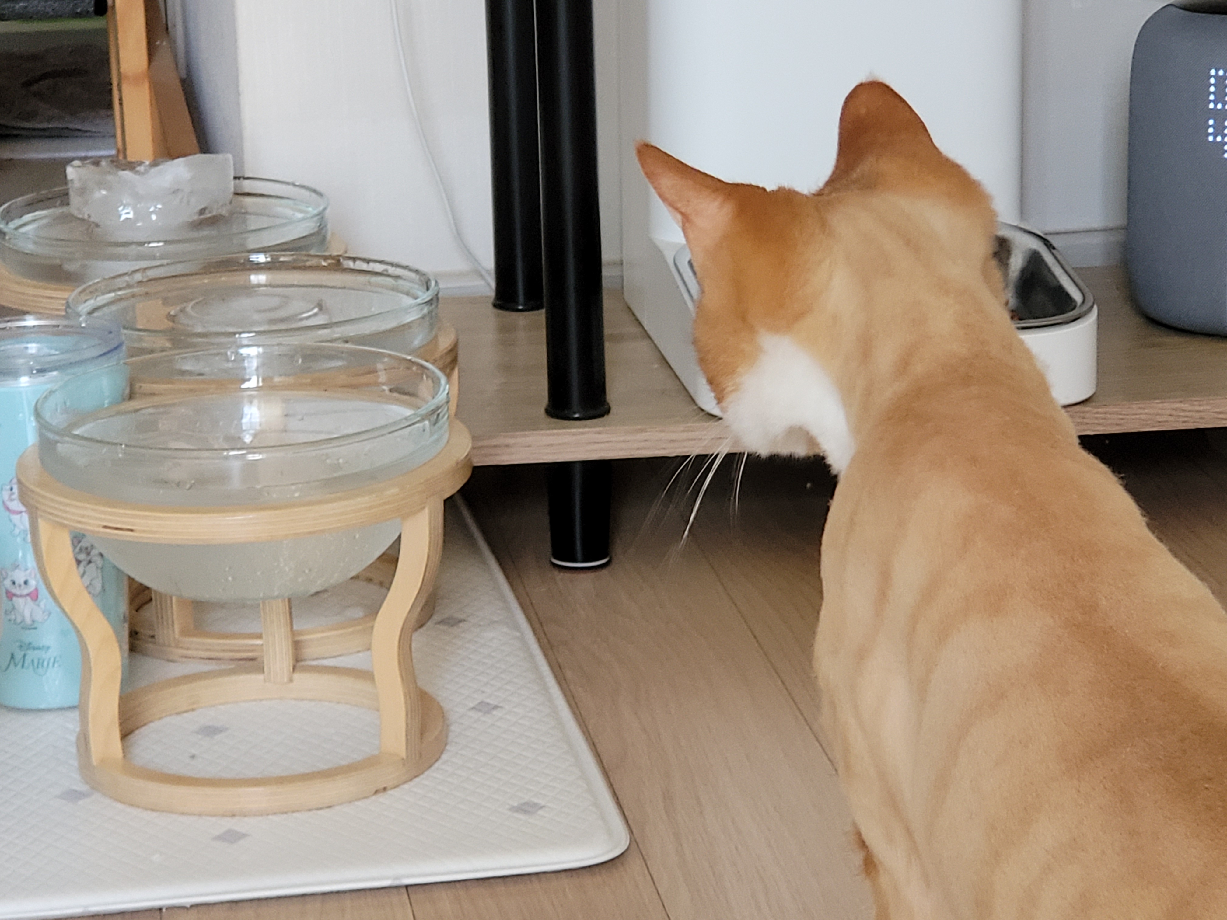 가티 (소나) 잘 지내고 있어요 ^^