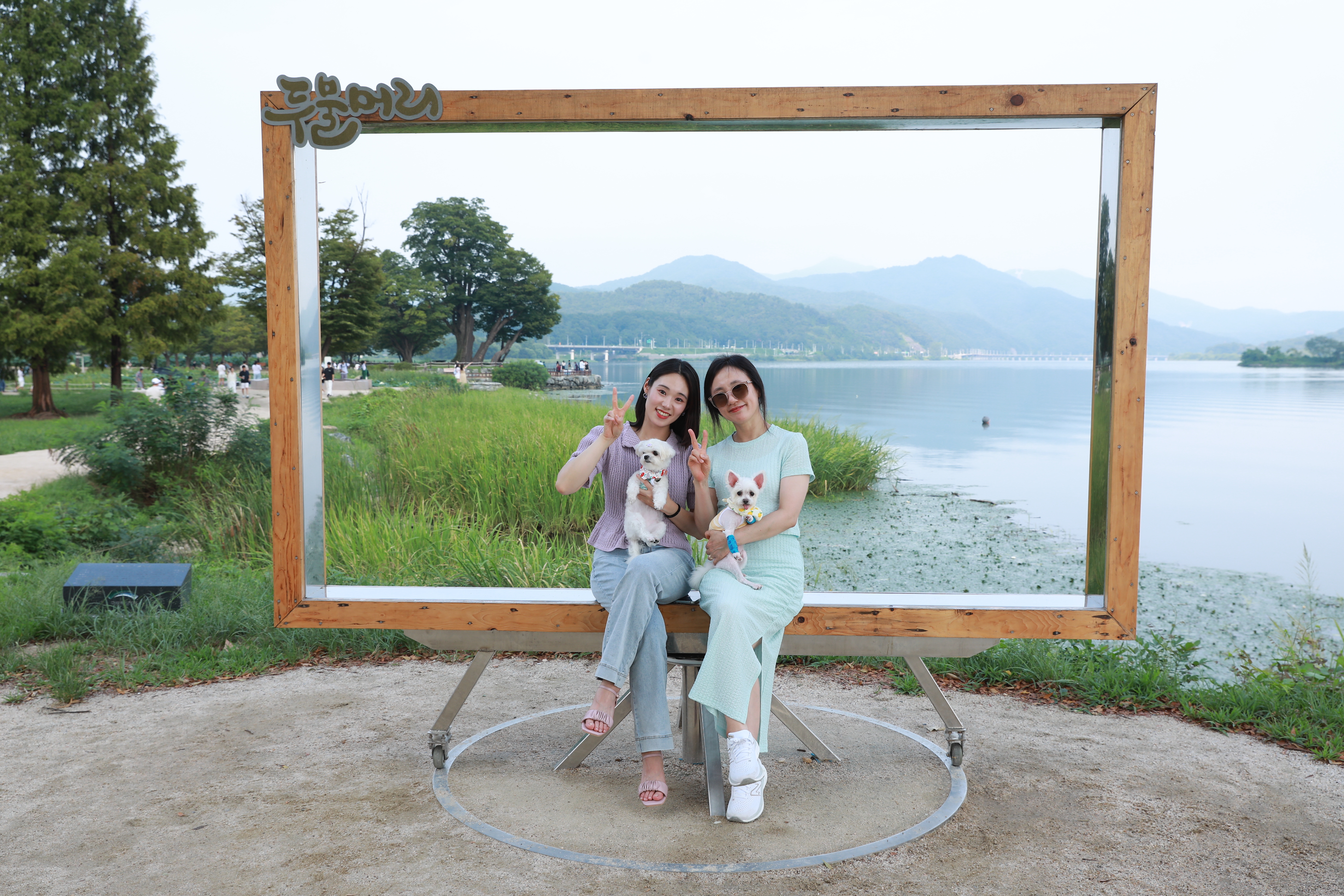 마리와 함께 한지 어느덧 183일❤️