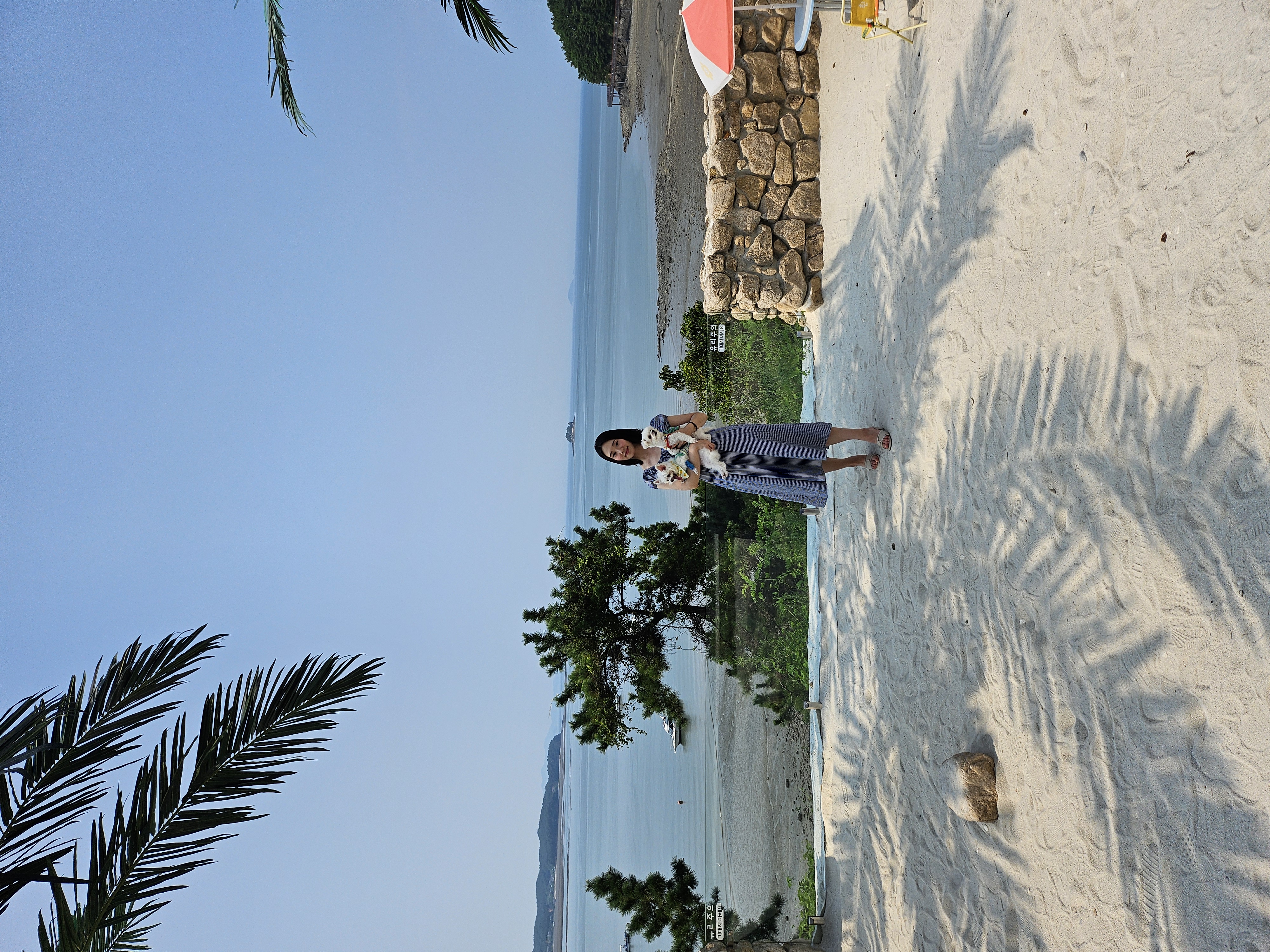 마리와 함께 한지 어느덧 183일❤️