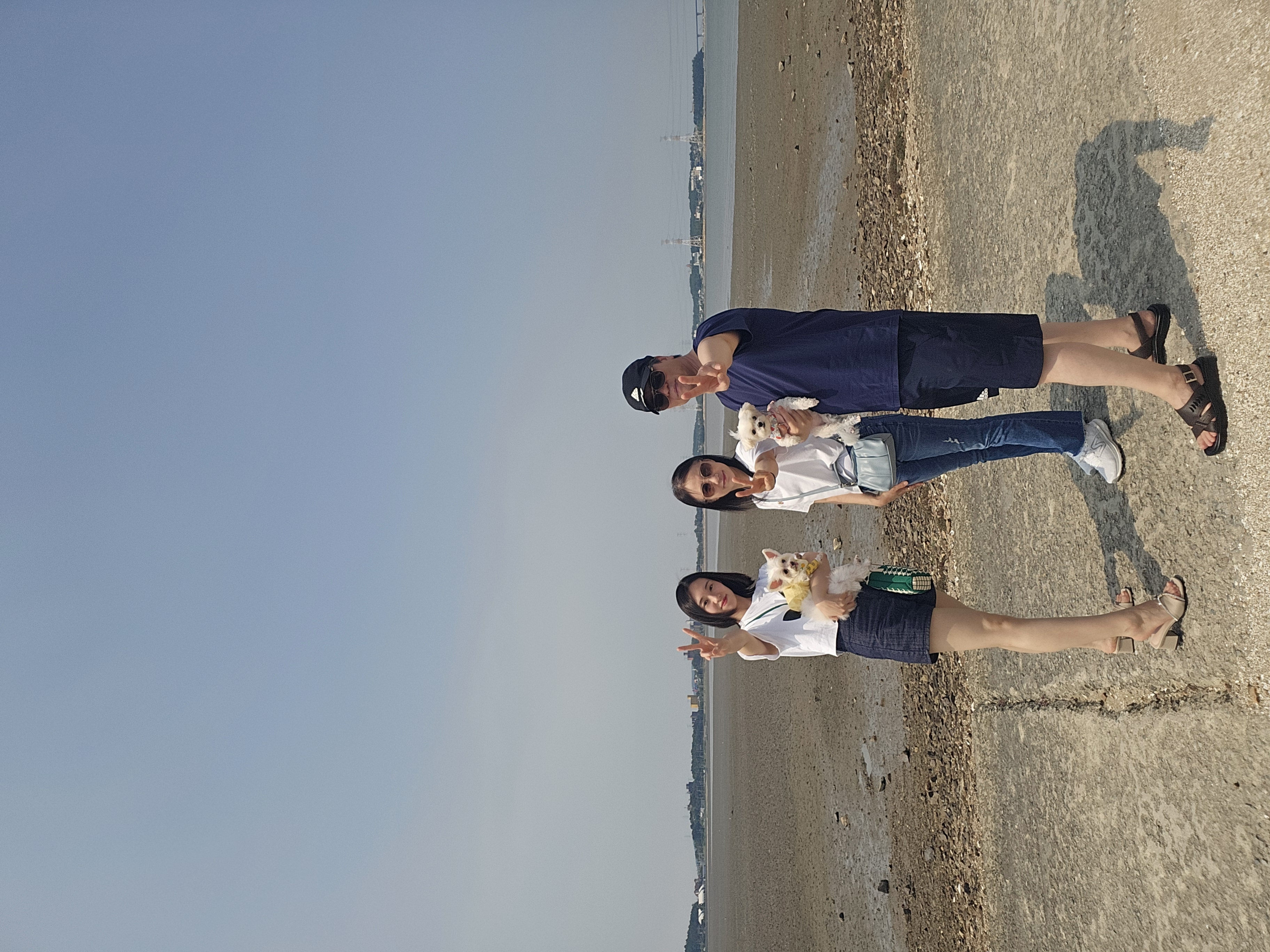 마리와 함께 한지 어느덧 183일❤️