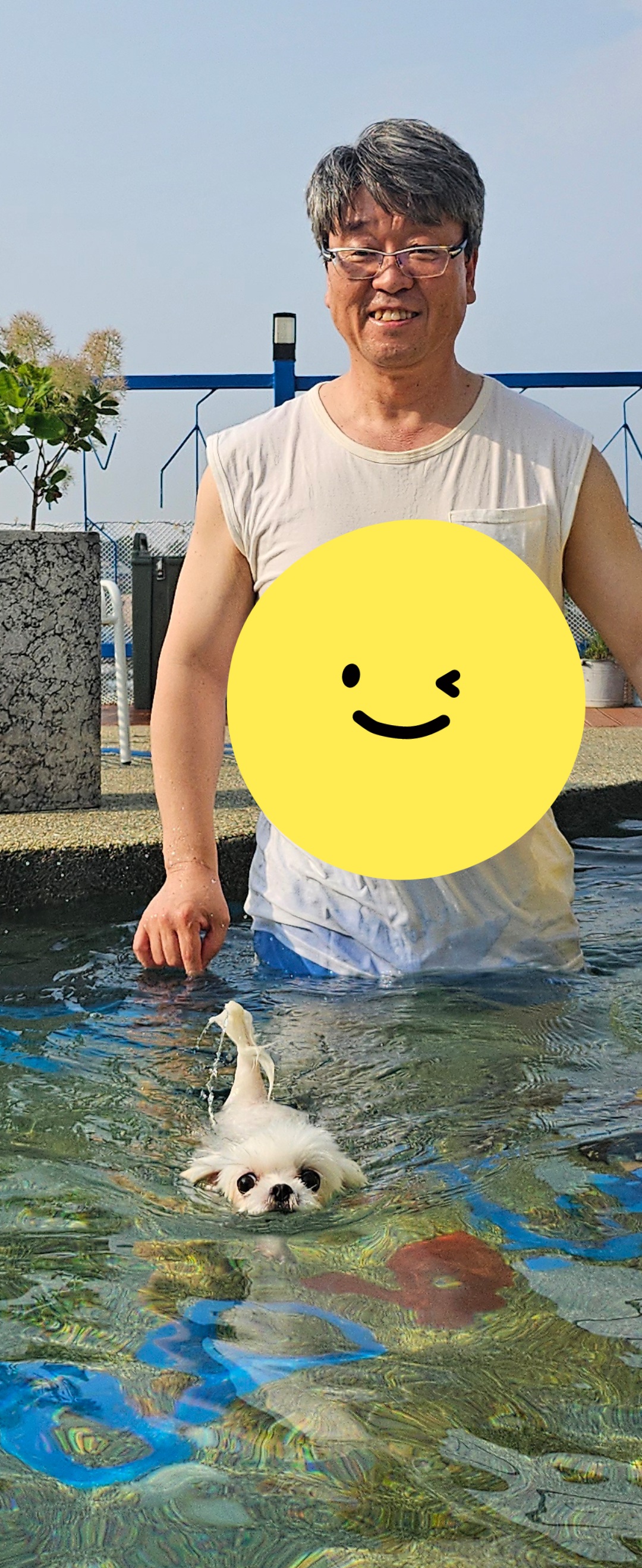 마리와 함께 한지 어느덧 183일❤️