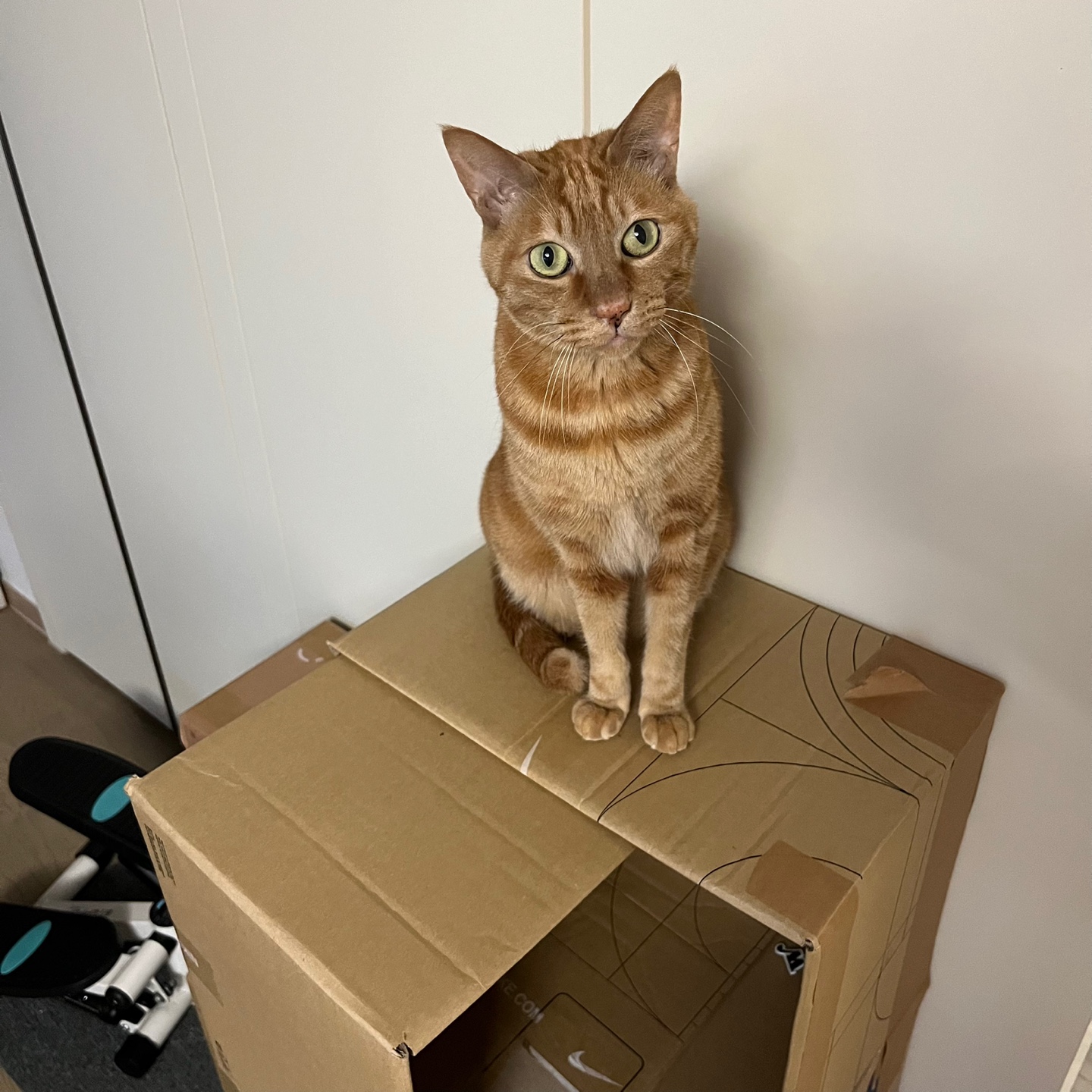 안녕하세요~ 용식이에요. (2년후)