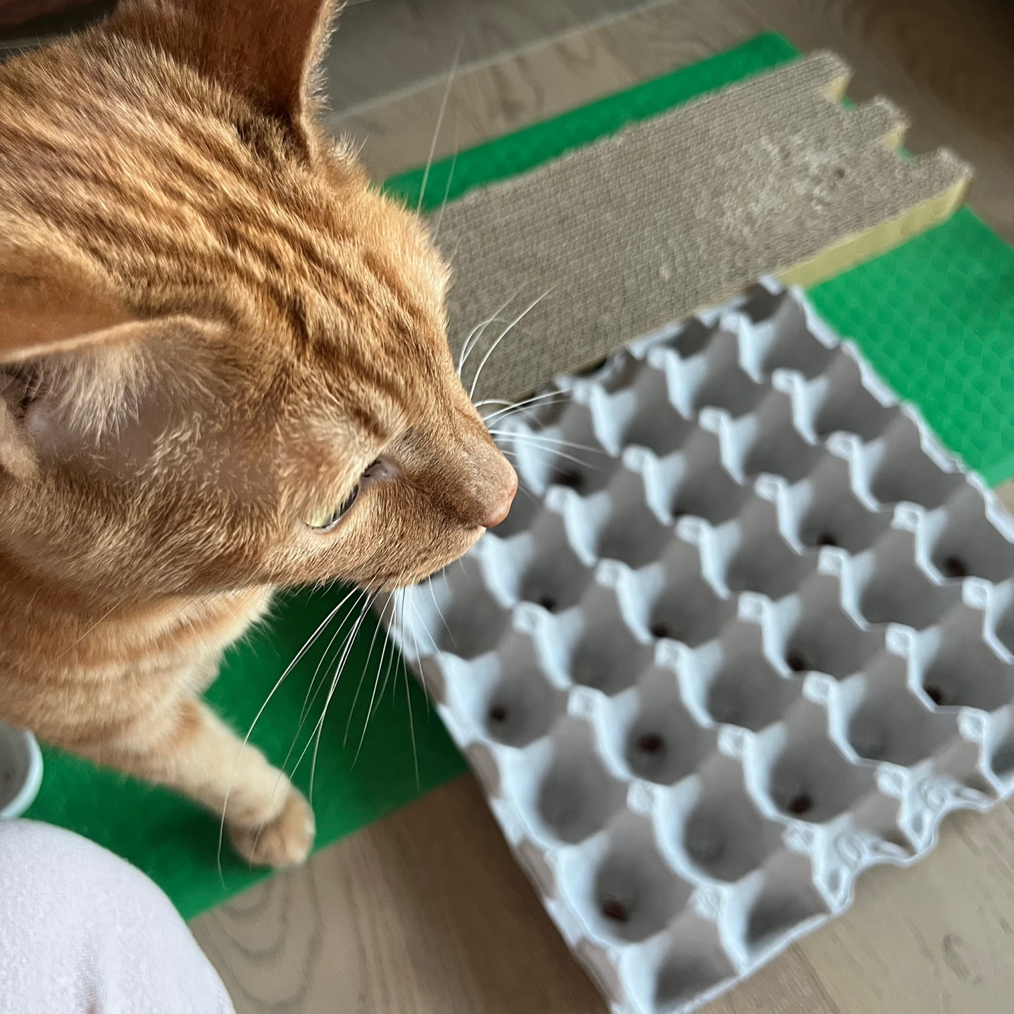 안녕하세요~ 용식이에요. (2년후)