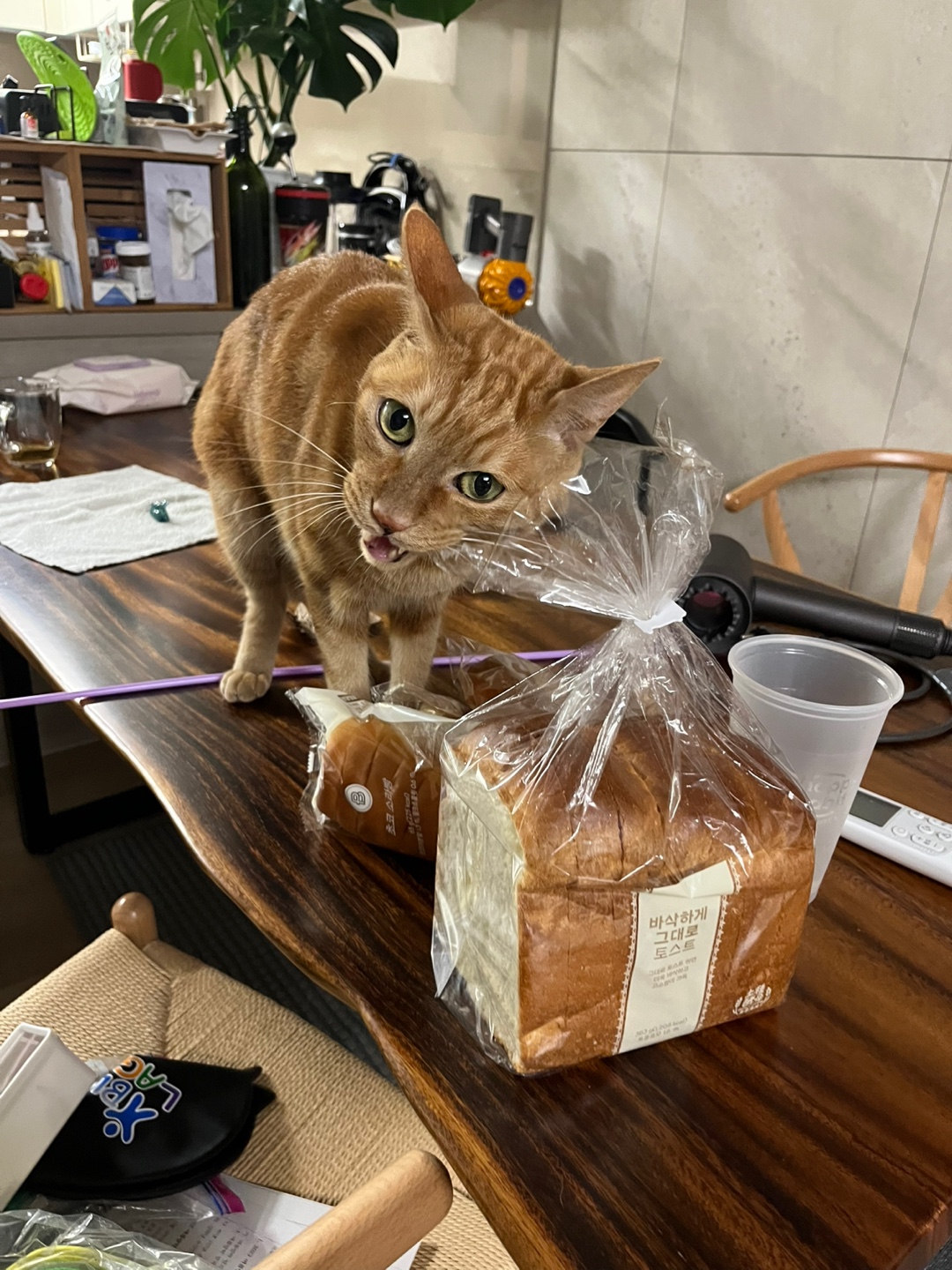 안녕하세요~ 용식이에요. (2년후)