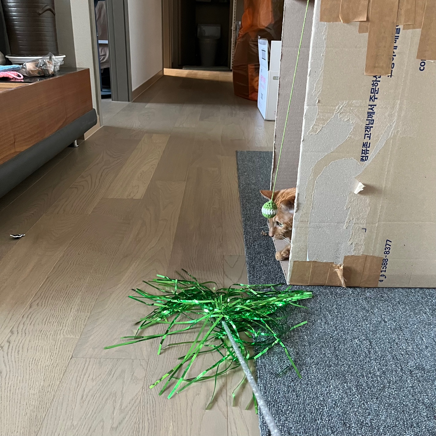 안녕하세요~ 용식이에요. (2년후)