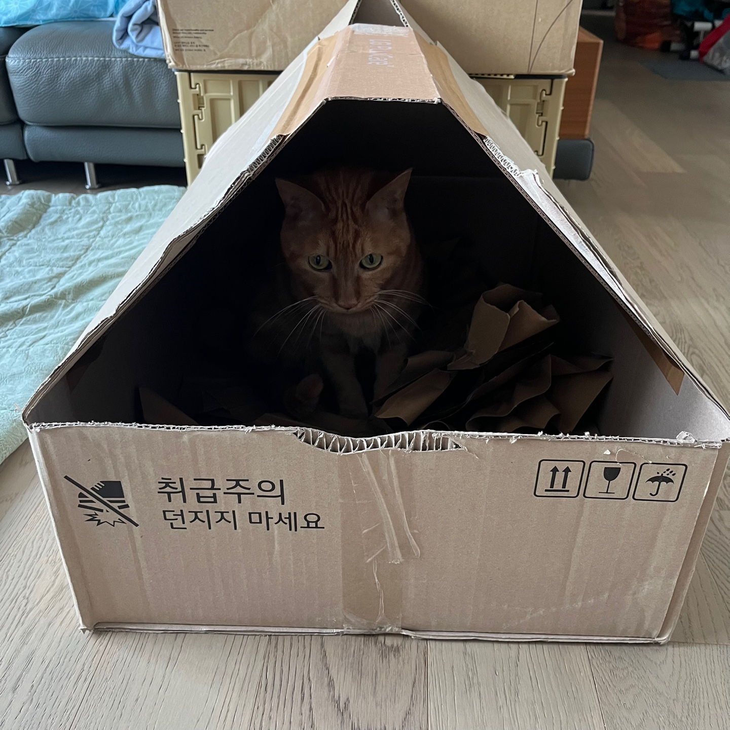 안녕하세요~ 용식이에요. (2년후)