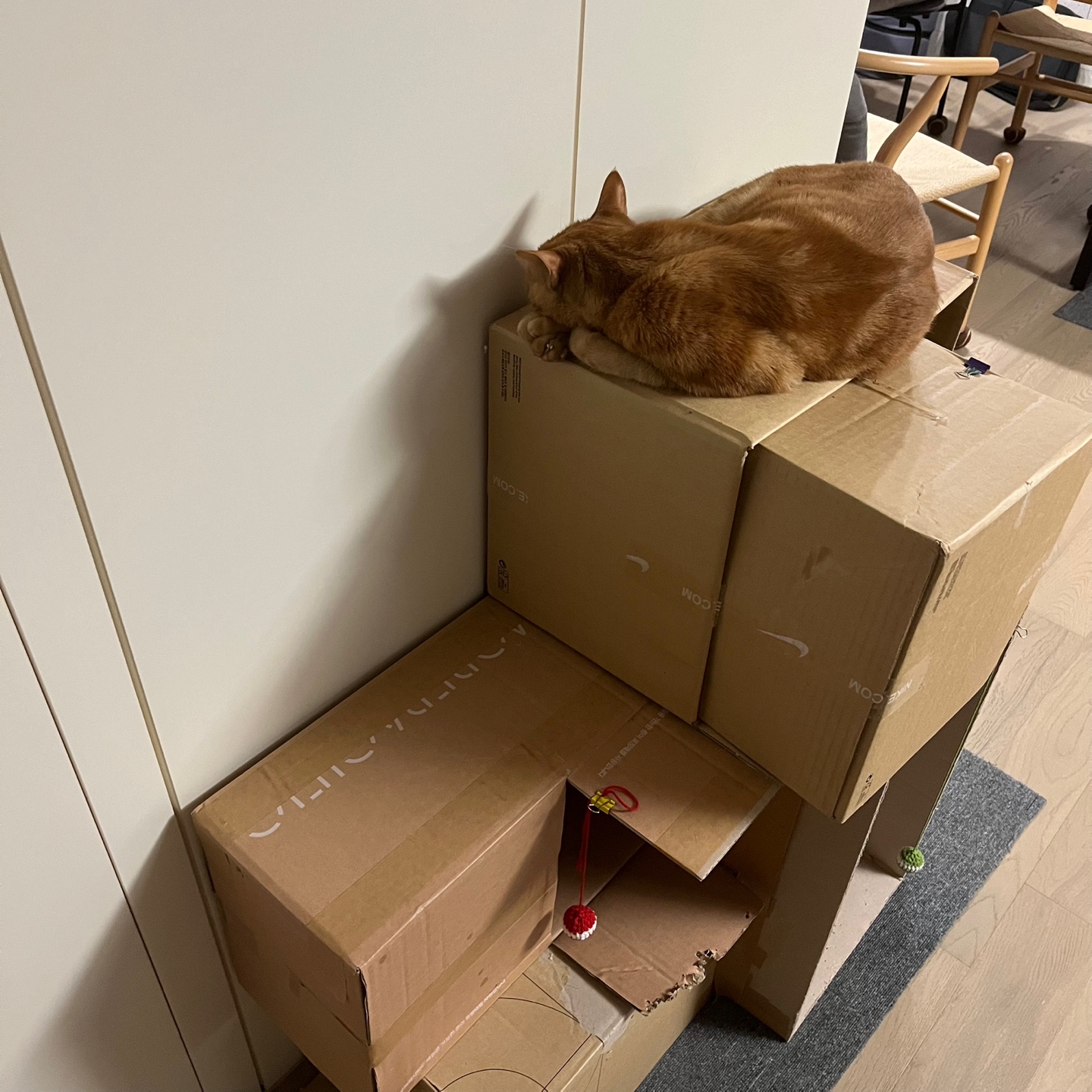 안녕하세요~ 용식이에요. (2년후)