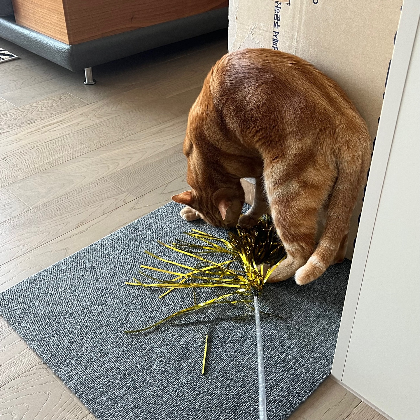 안녕하세요~ 용식이에요. (2년후)