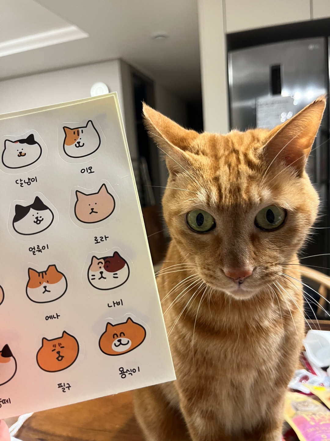 안녕하세요~ 용식이에요. (2년후)