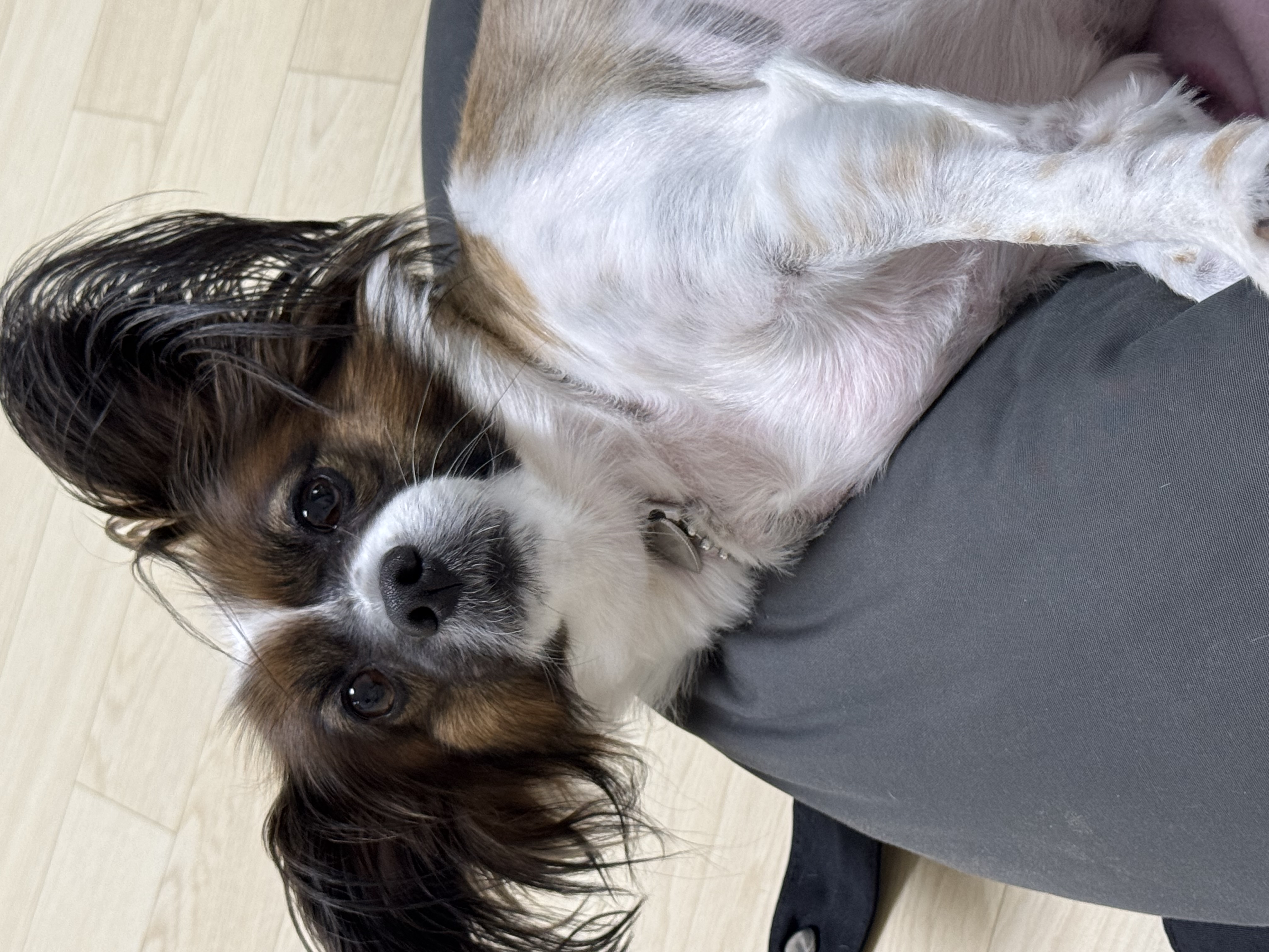 토리는(은하) 너무 잘지내고있습니다 