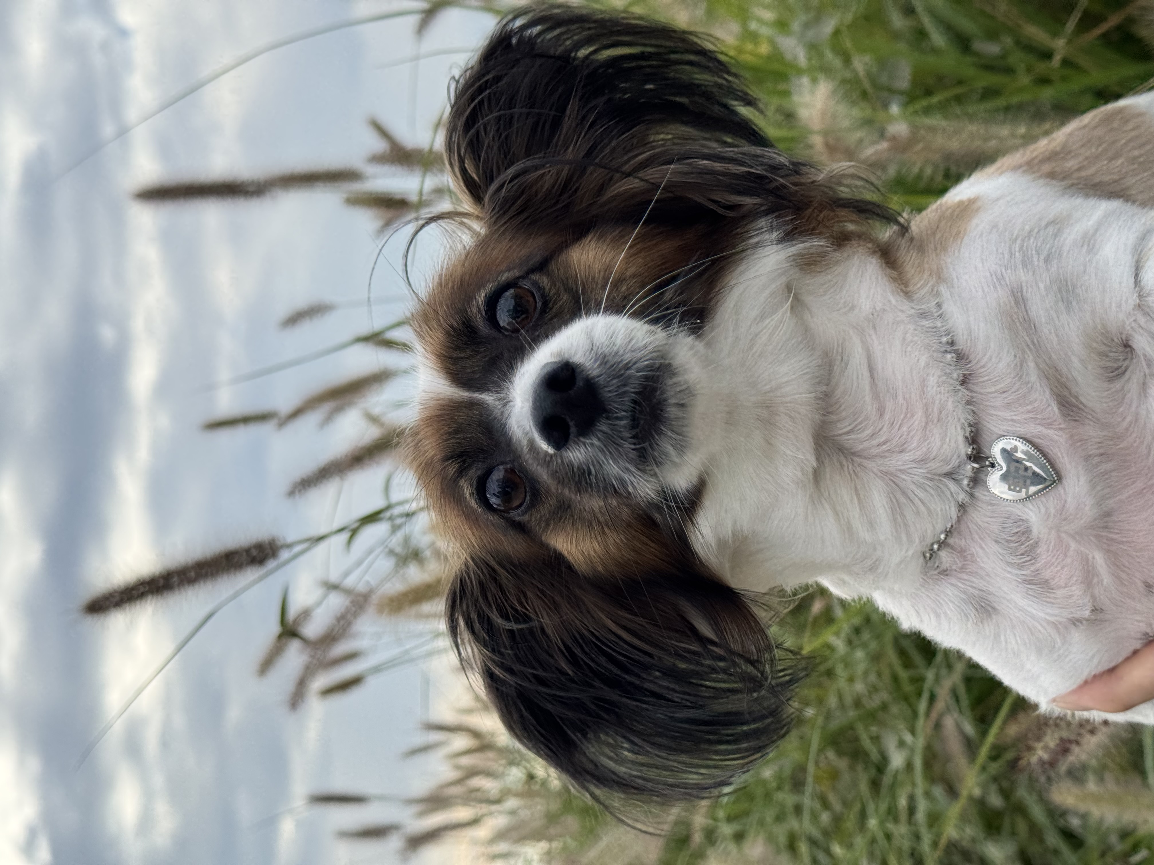 토리는(은하) 너무 잘지내고있습니다 