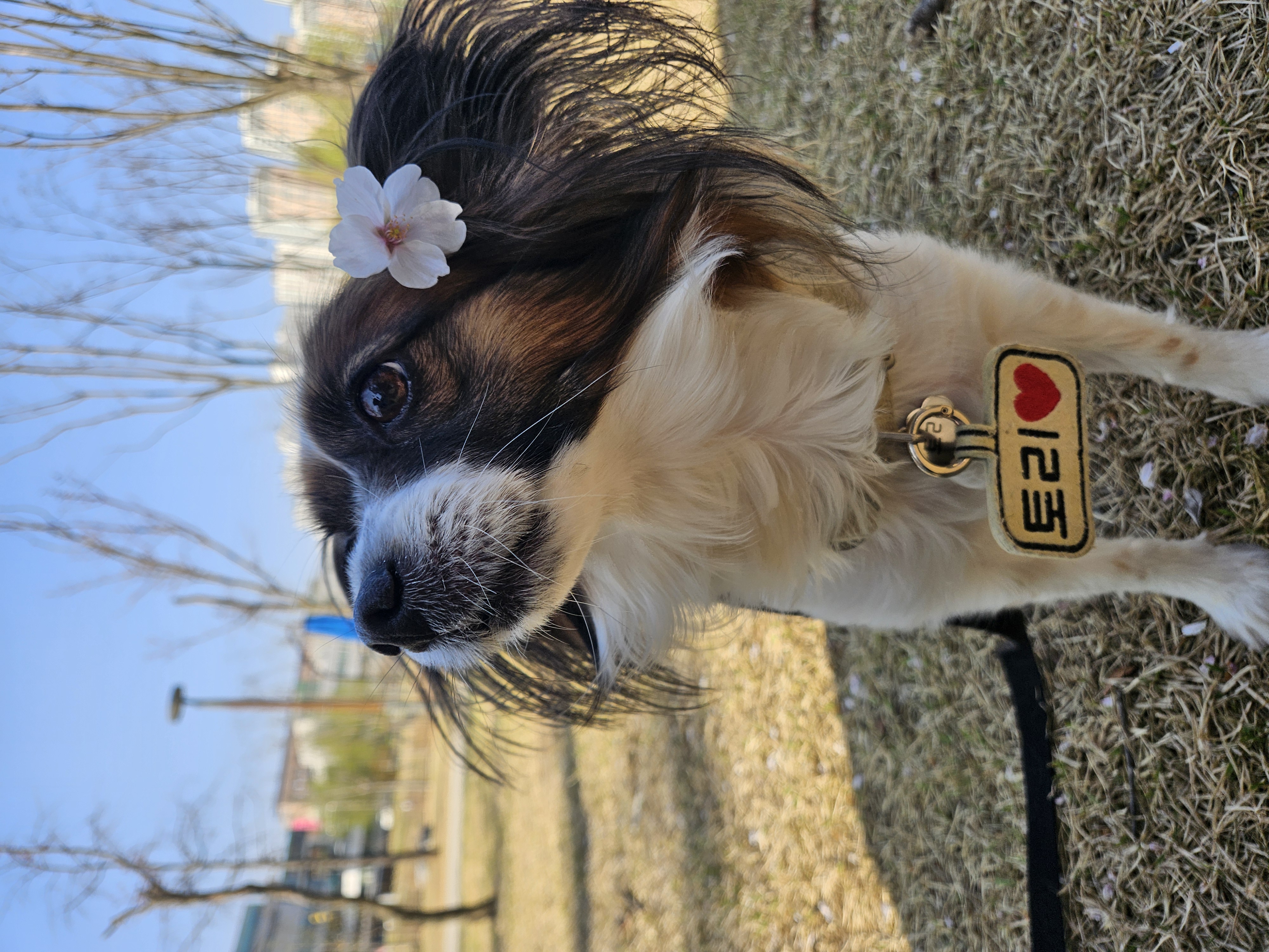 토리는(은하) 너무 잘지내고있습니다 