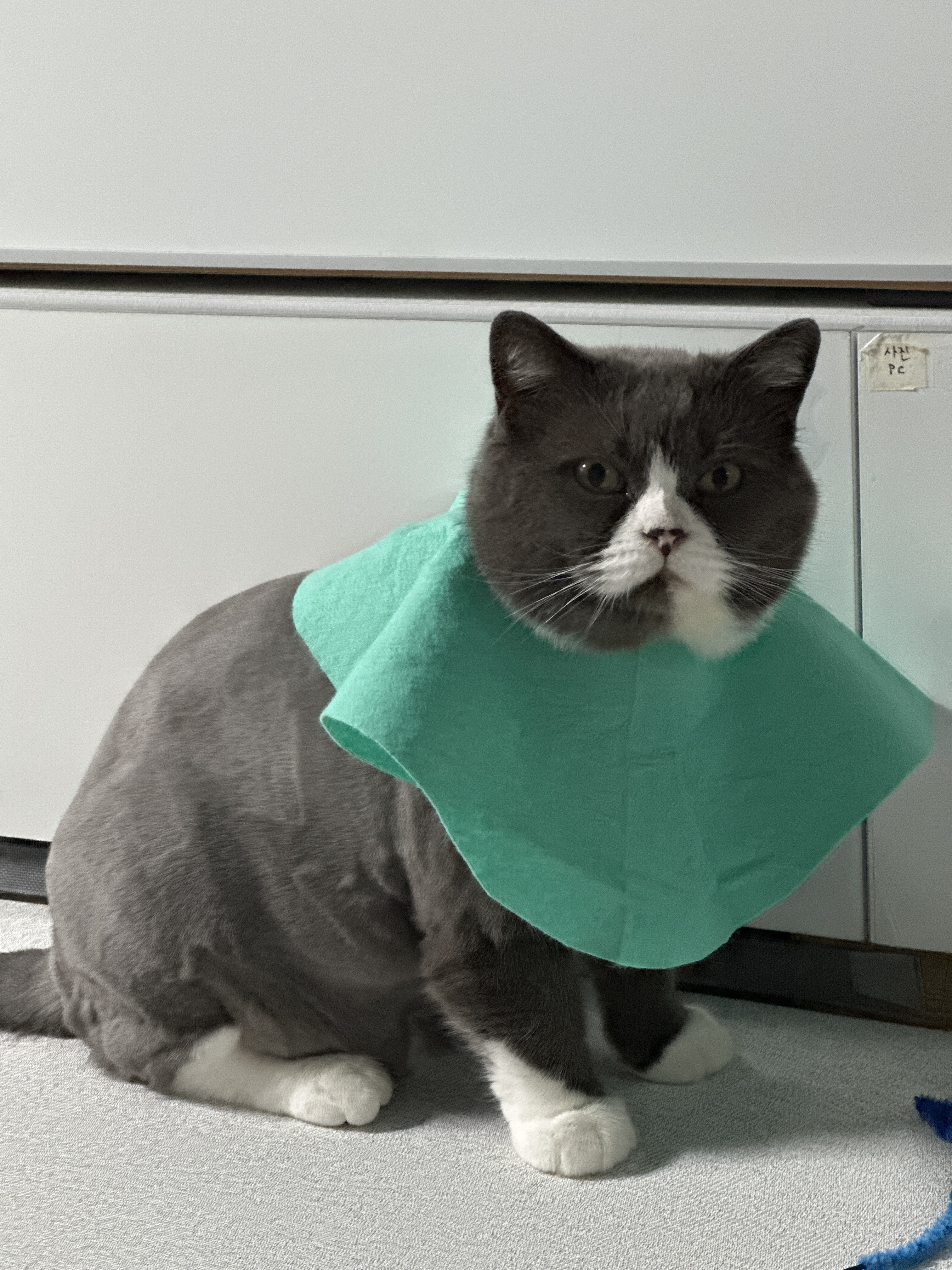 이주몽 (건우) 정식입양 3개월차